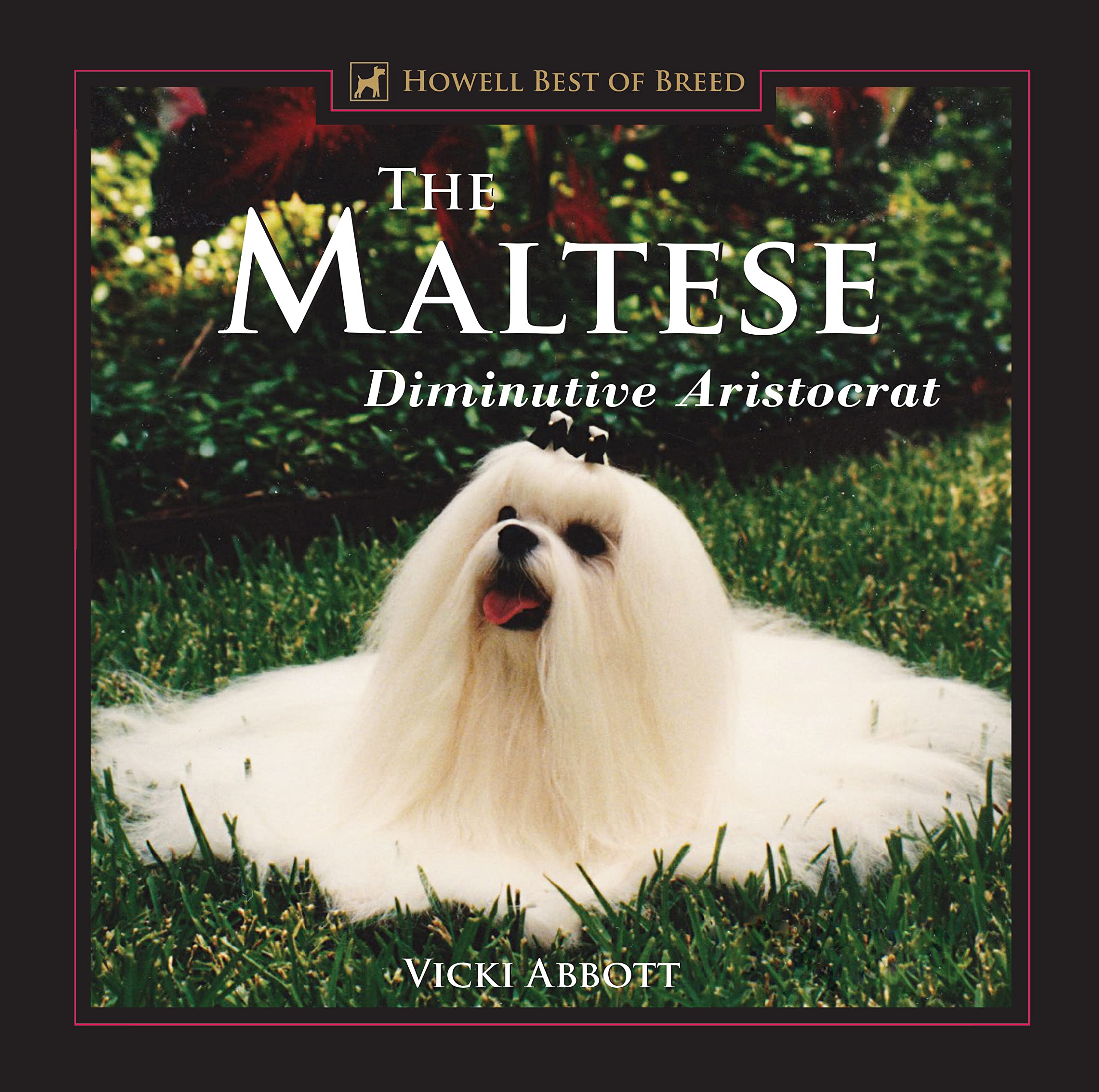 The Maltese : Diminutive Aristocrat,Used