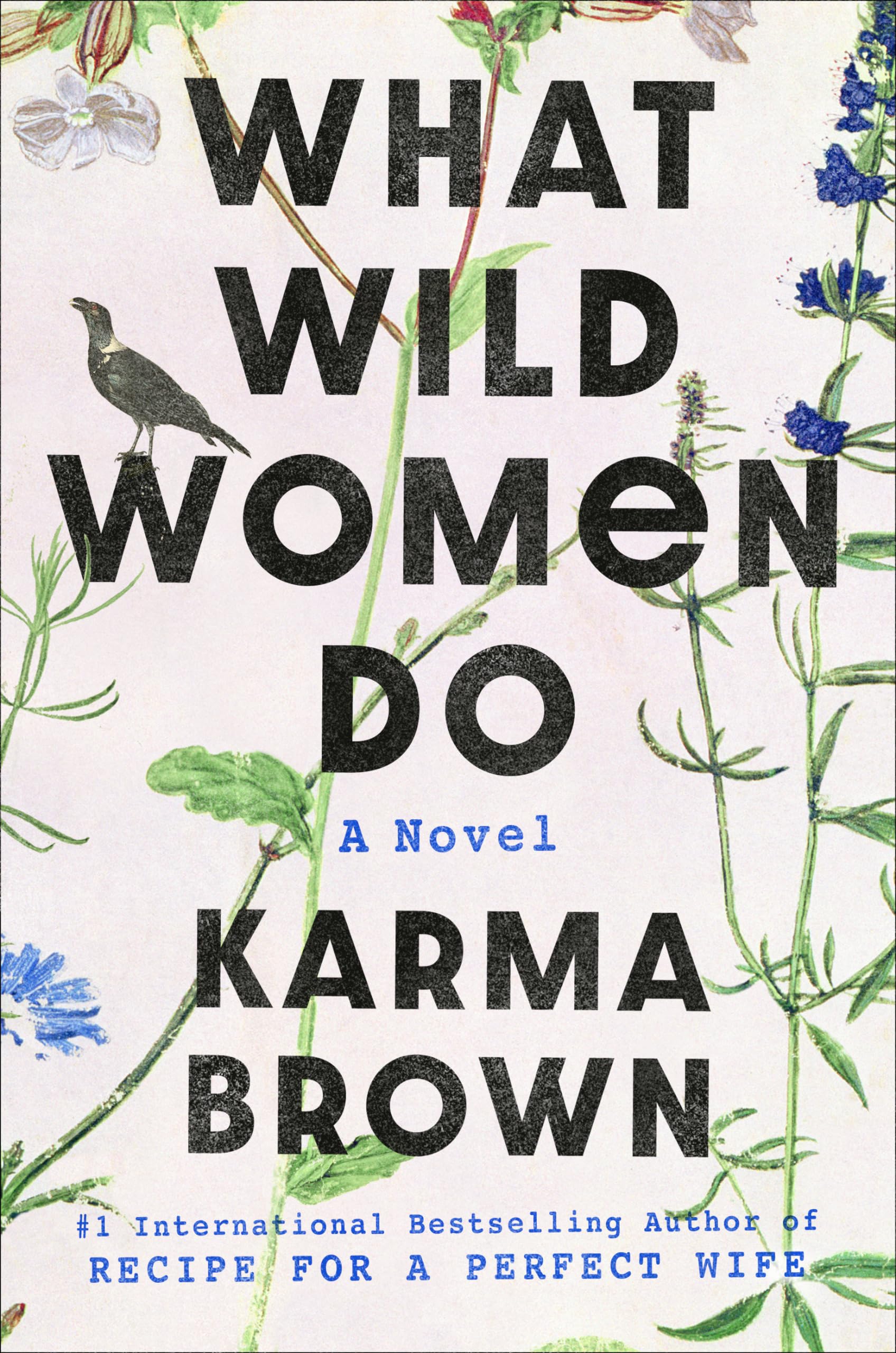What Wild Women Do: A Novel,Used