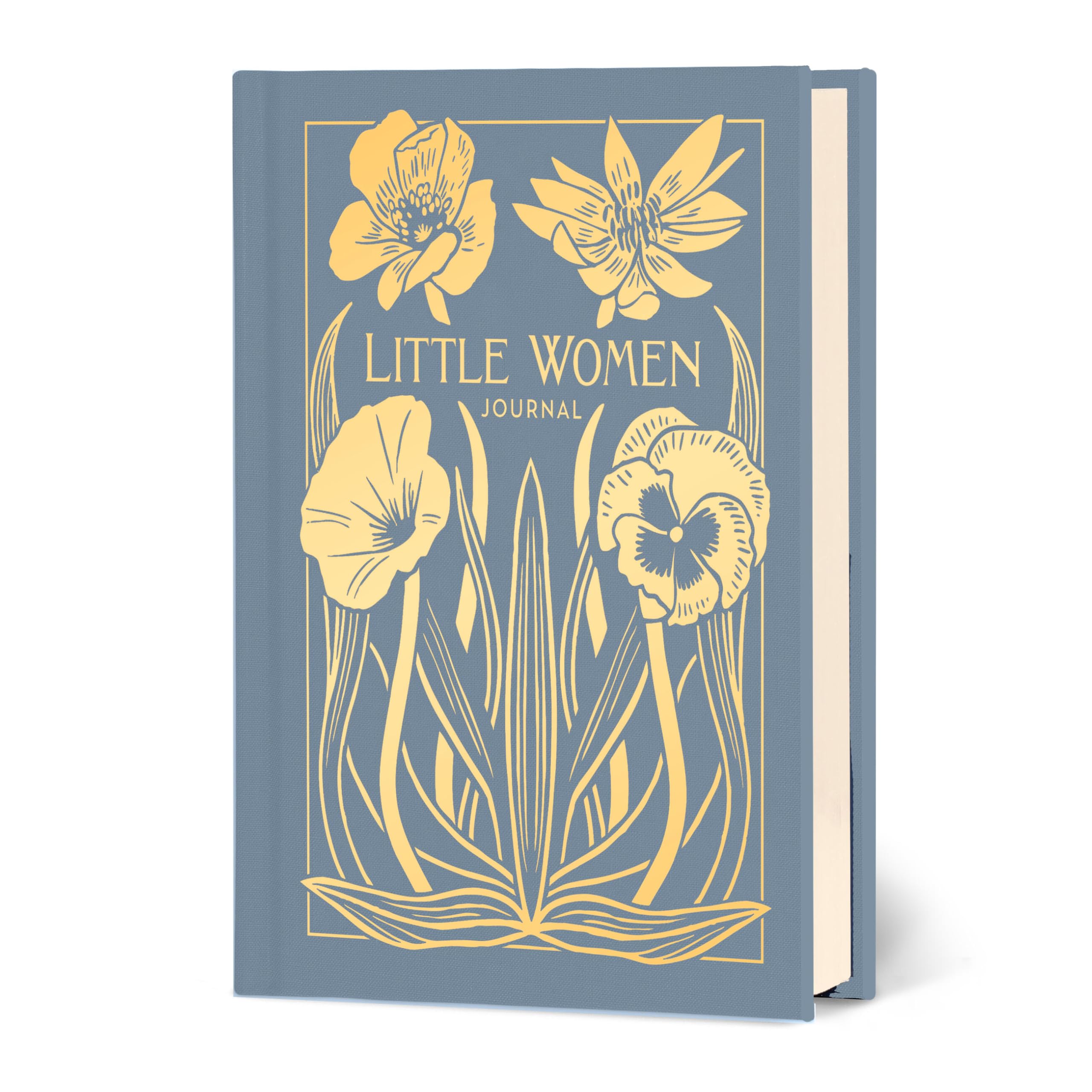 Little Women Journal (Classics Gift)