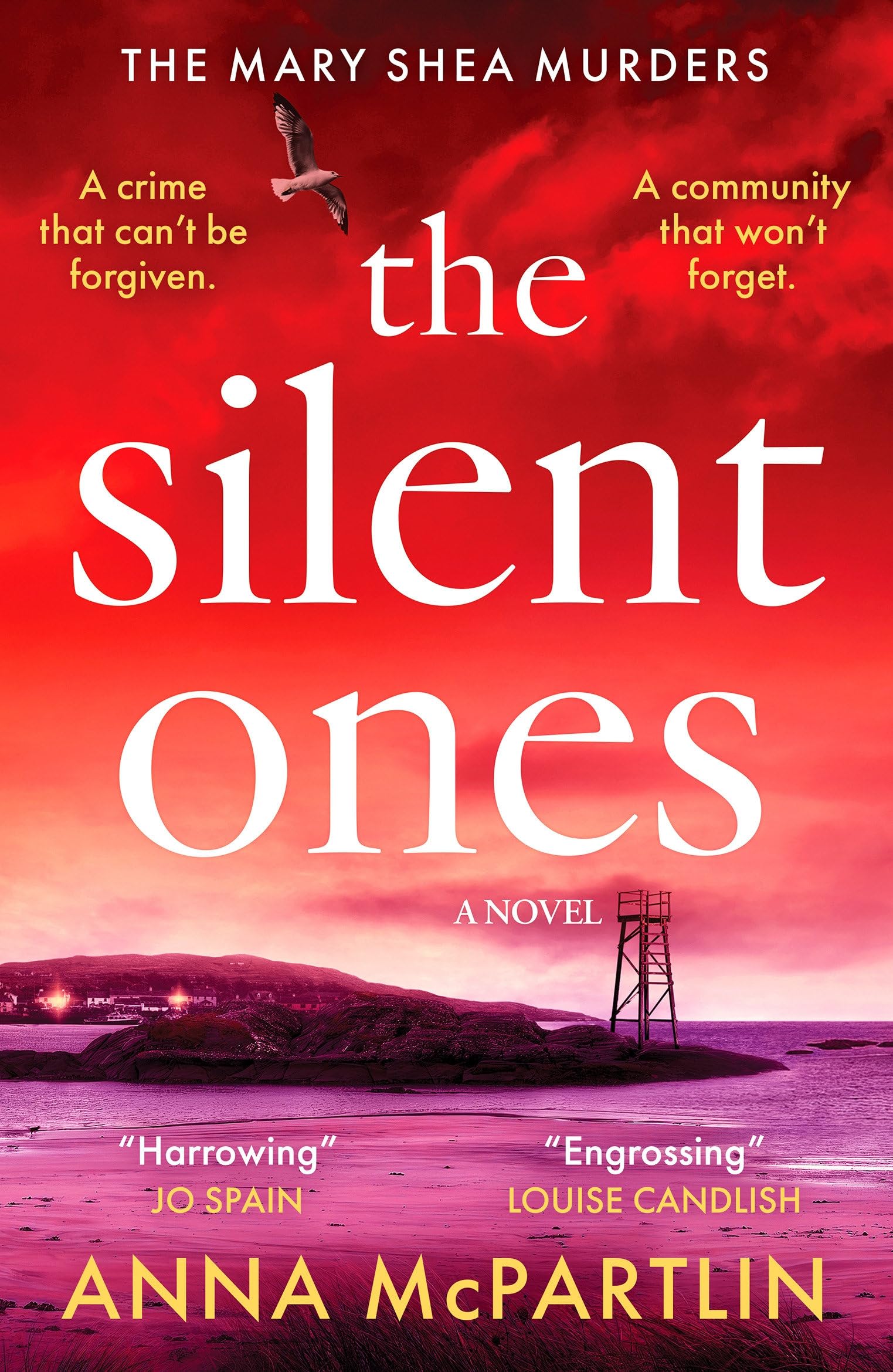 The Silent Ones: An Unmissable Irish Crime Thriller From An International Bestseller (Mary Shea Murders)