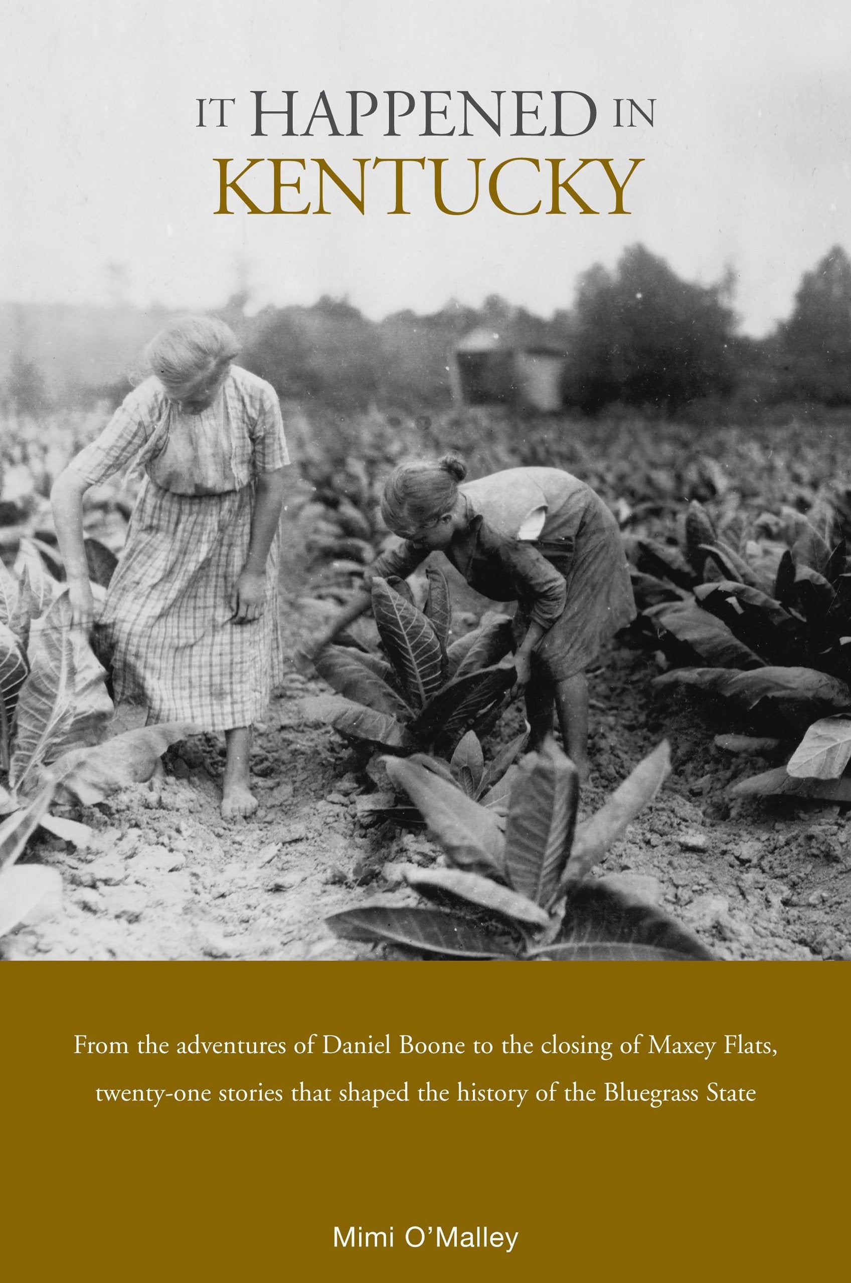 It Happened in Kentucky (It Happened in Series),Used