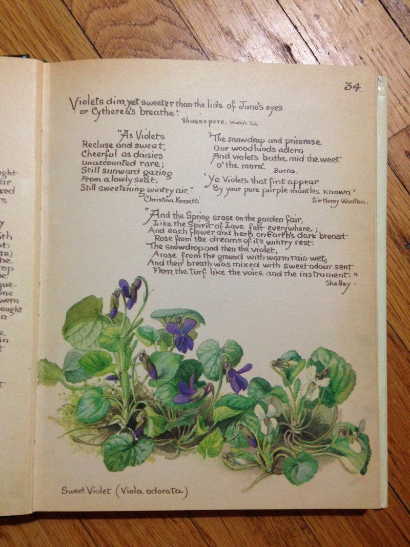 The Country Diary of an Edwardian Lady,New