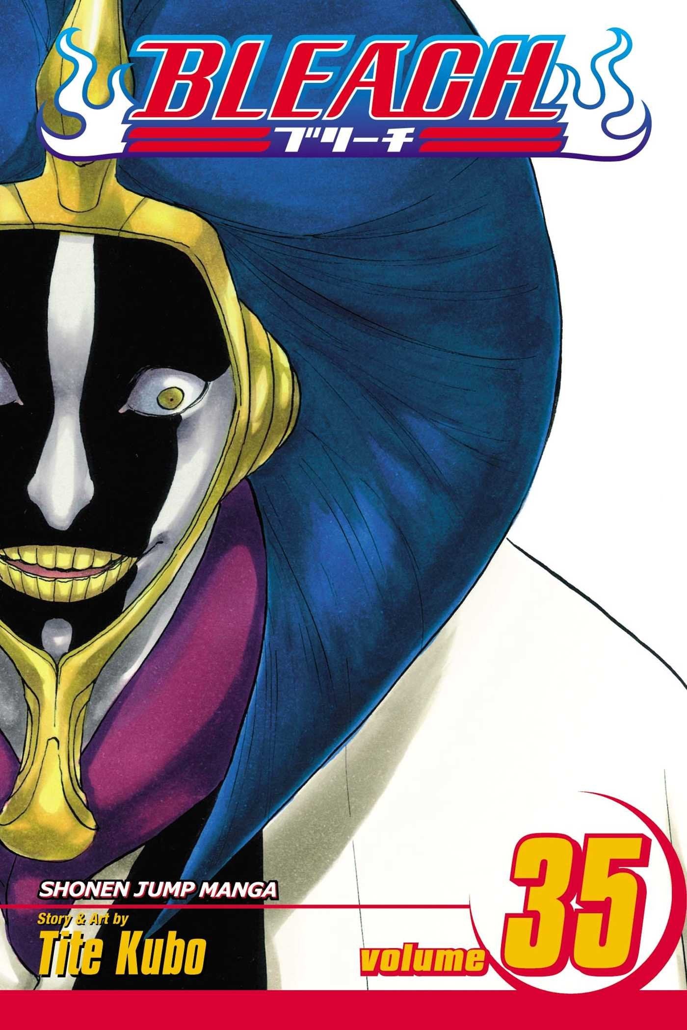 Bleach, Vol. 35,New