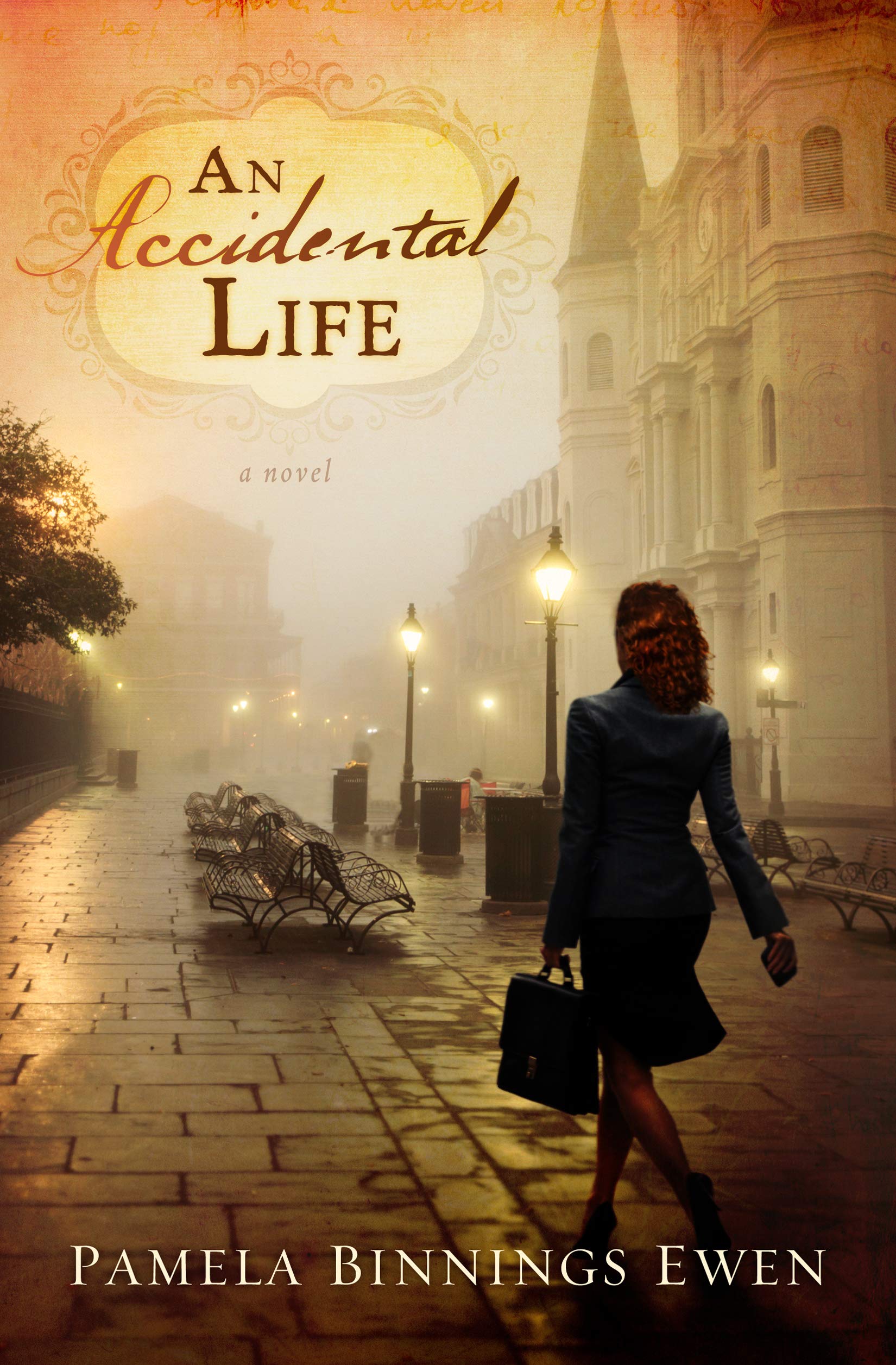 An Accidental Life: A Novel,Used