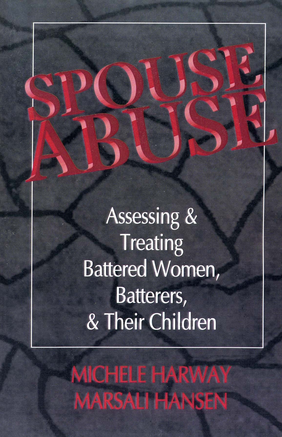 Spouse Abuse: Assessing & Treating Battered Women, Batterers, & Their Children,Used