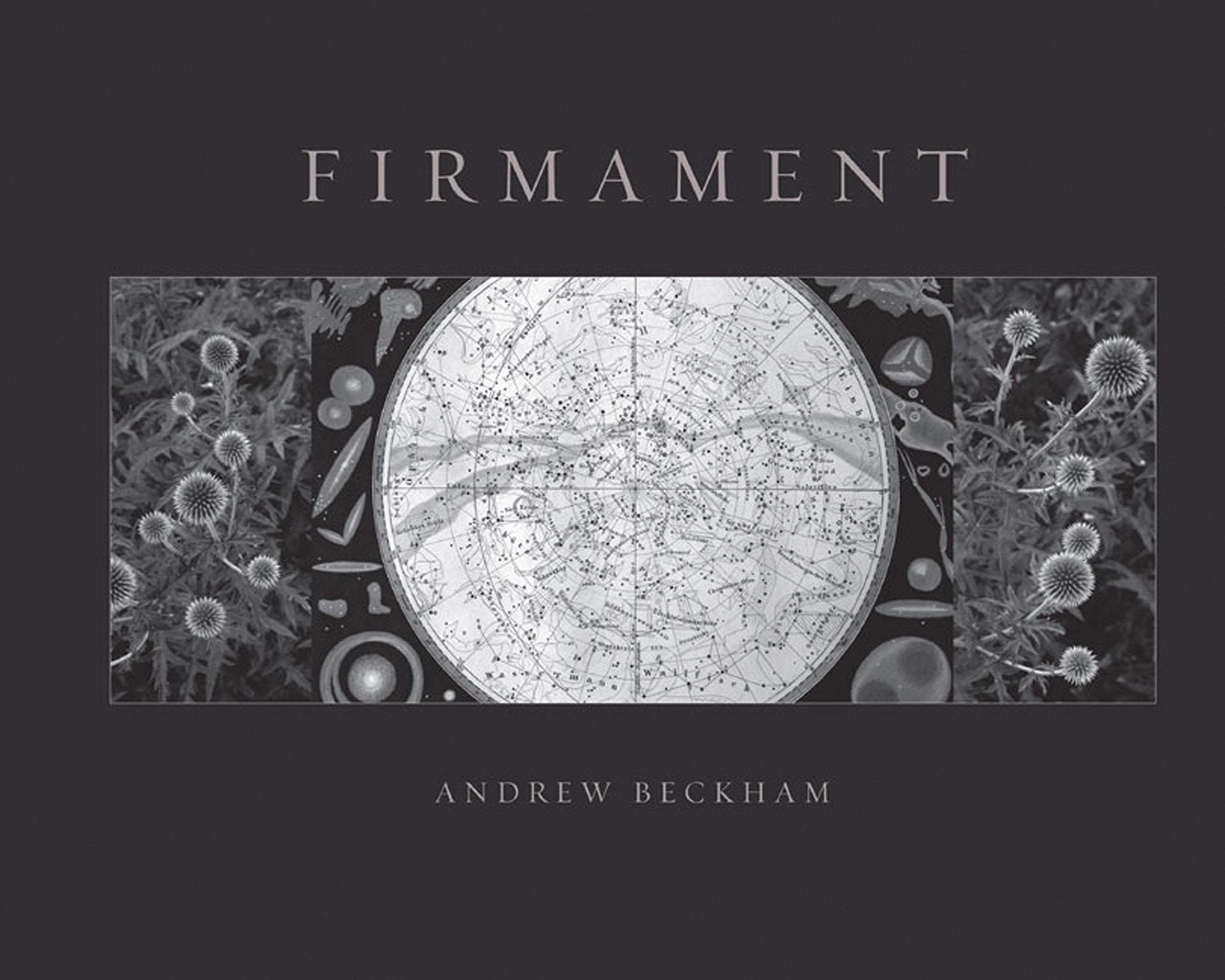 Firmament: A Meditation On Place In Three Parts,Used