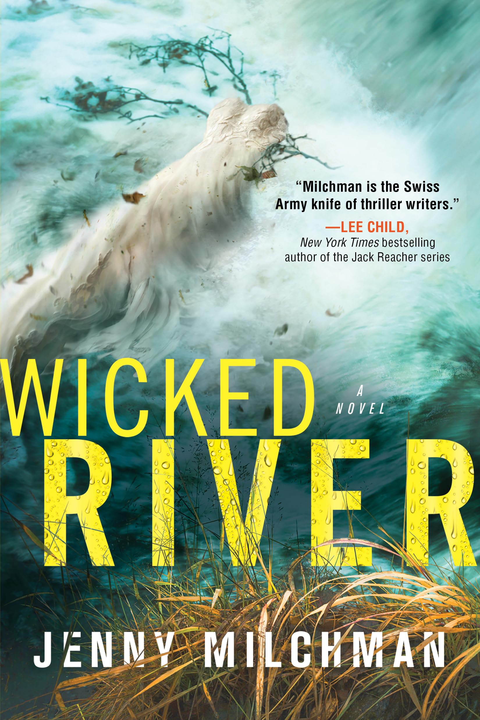 Wicked River: A Novel,New