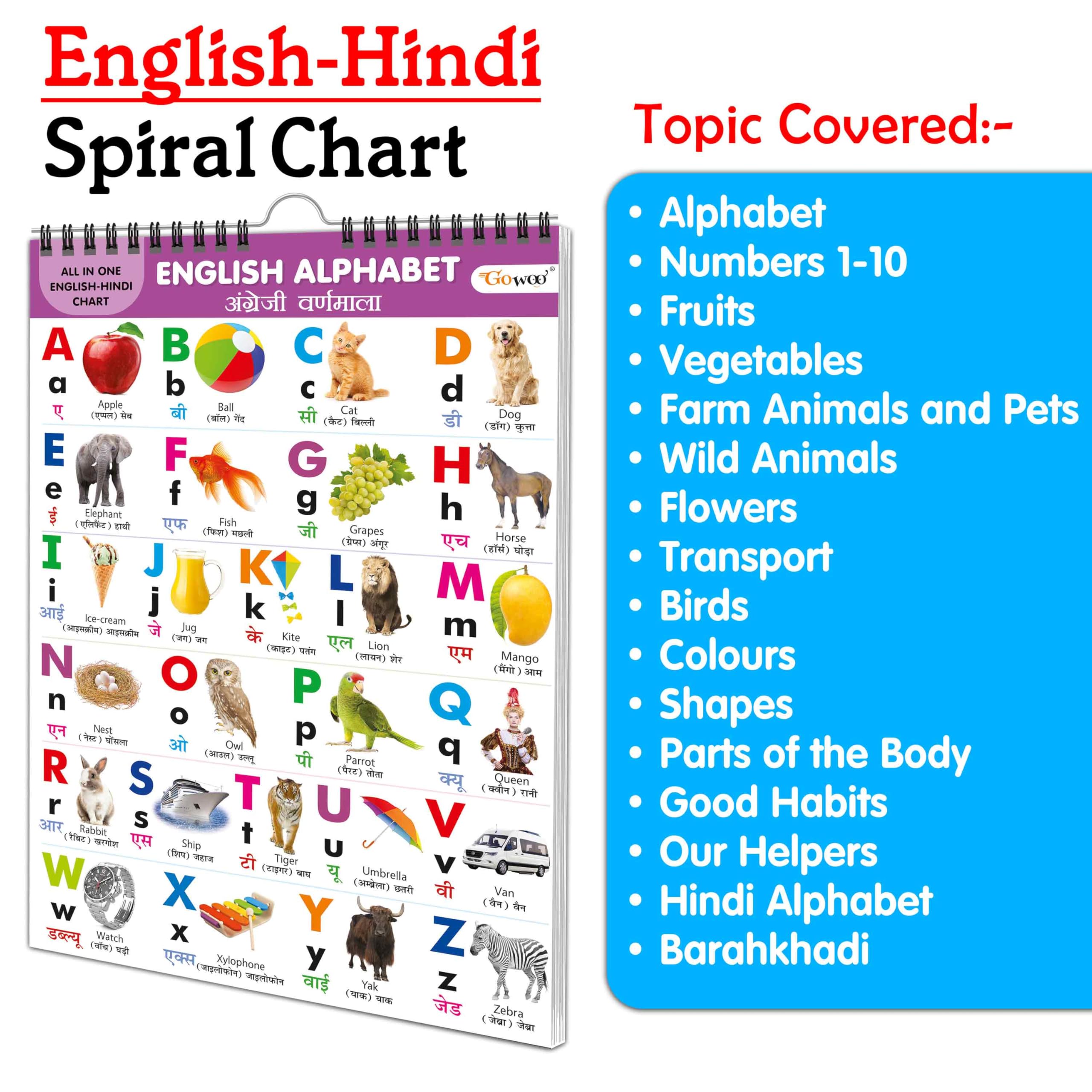 ChildrenS Educational Chart Collection : My First All In One Spiral Chart English-Hindi Learning Chart For Preschoolers, Educational Picture Chart For Toddlers With 16 Topics