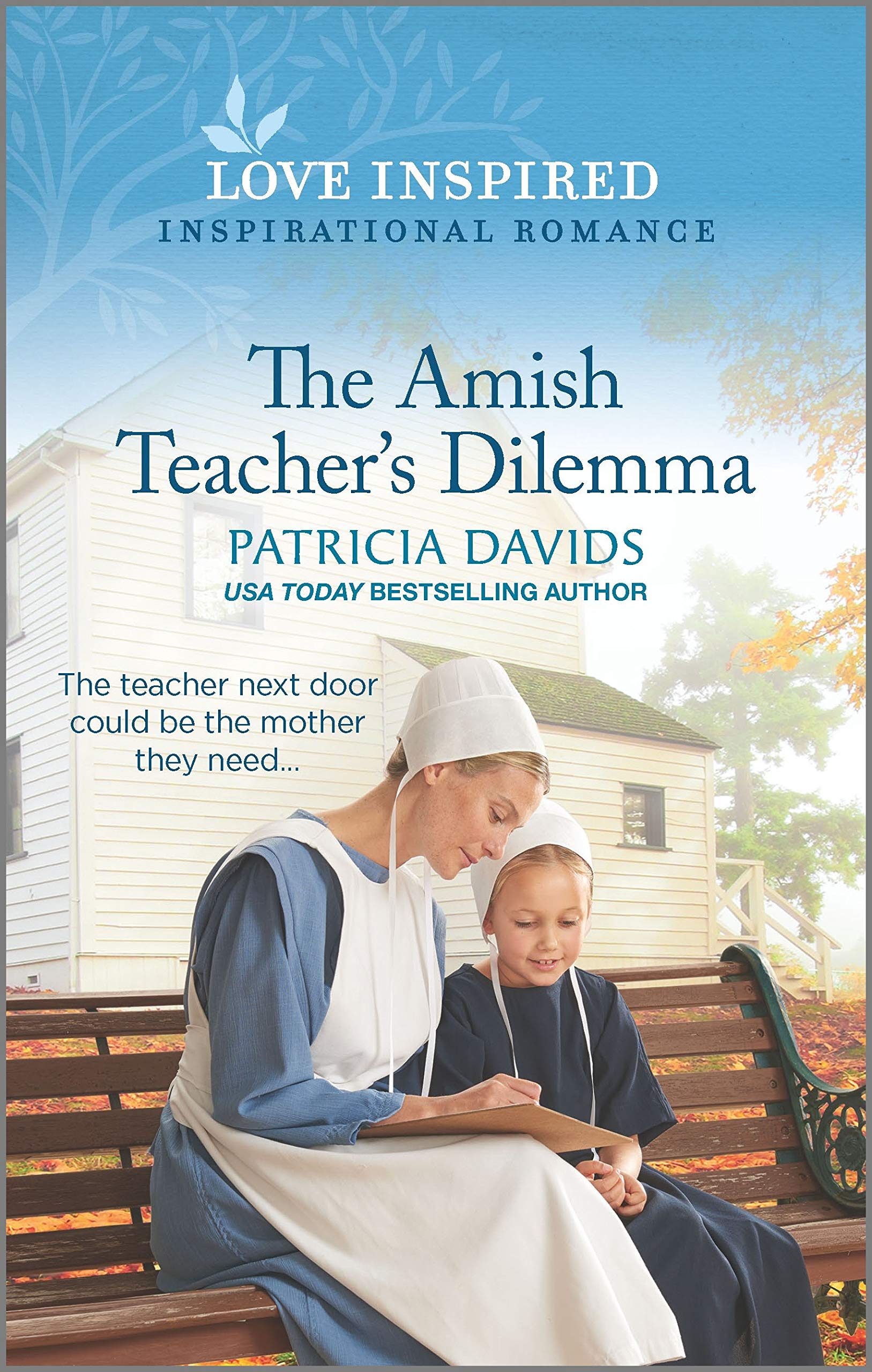 The Amish Teacher's Dilemma (North Country Amish, 2),Used
