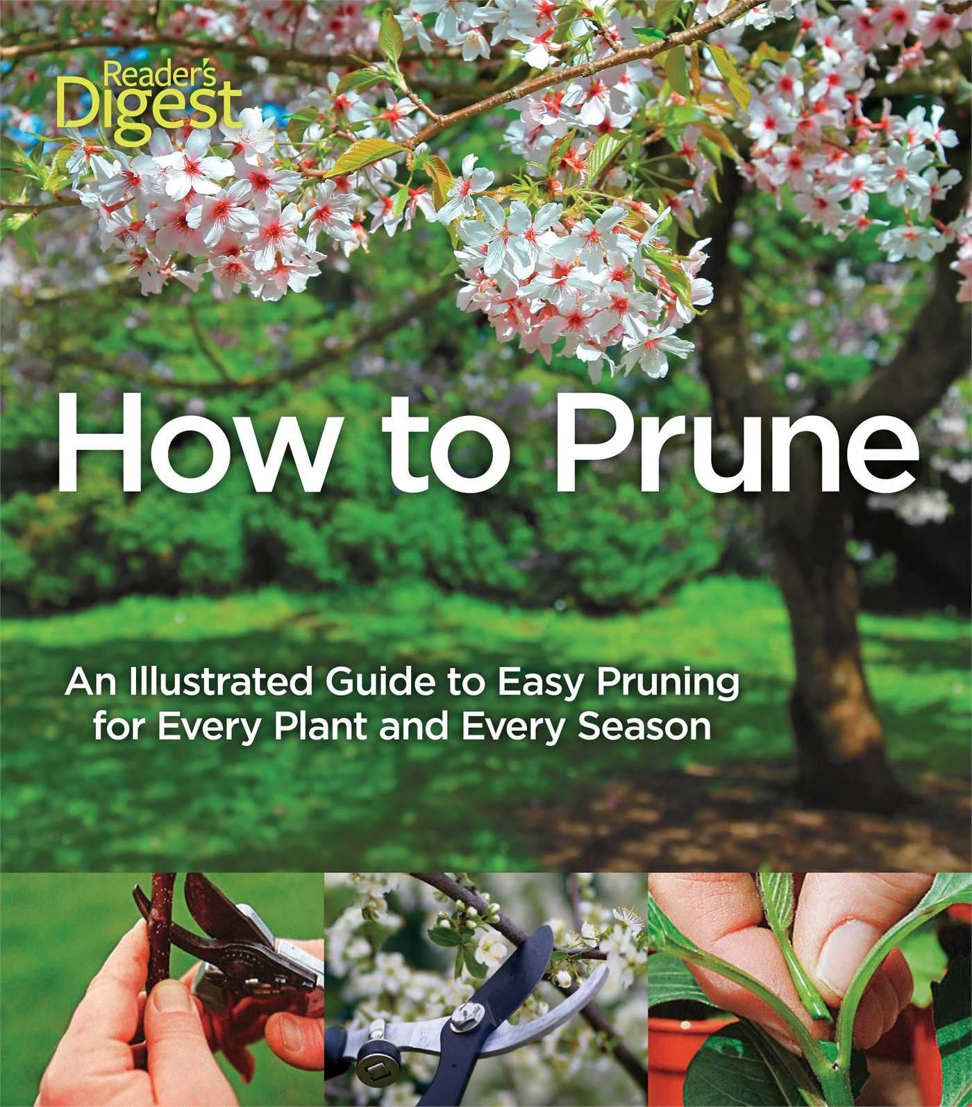 How to Prune: An Illustrated Guide to Easy Pruning for Every Plant and Every Season,Used