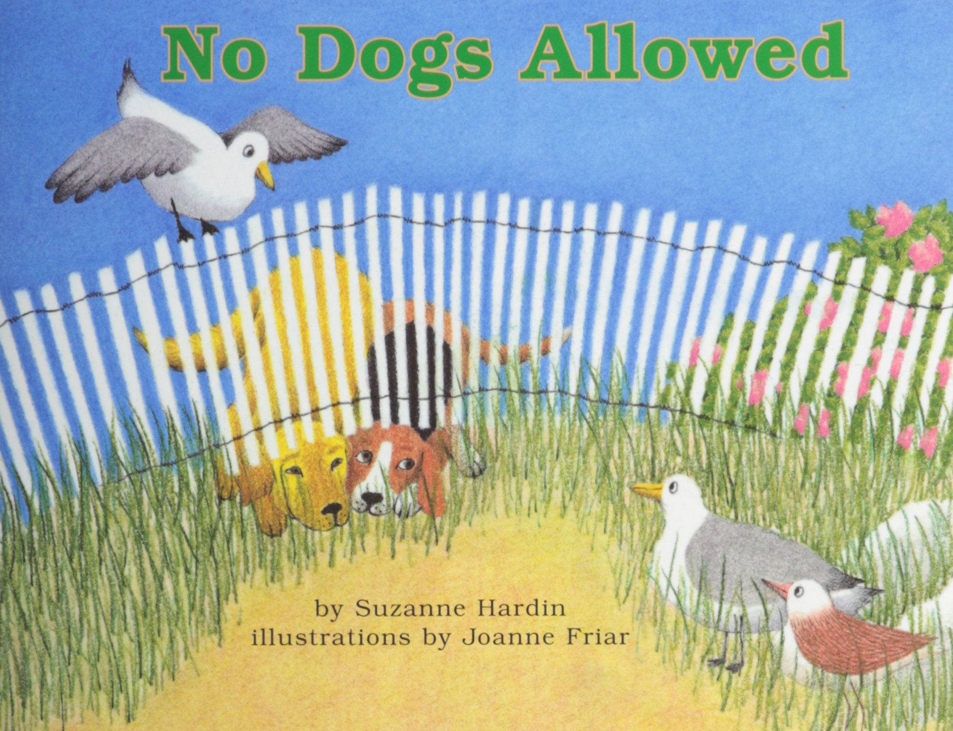 No Dogs Allowed (Books For Young Learners),Used