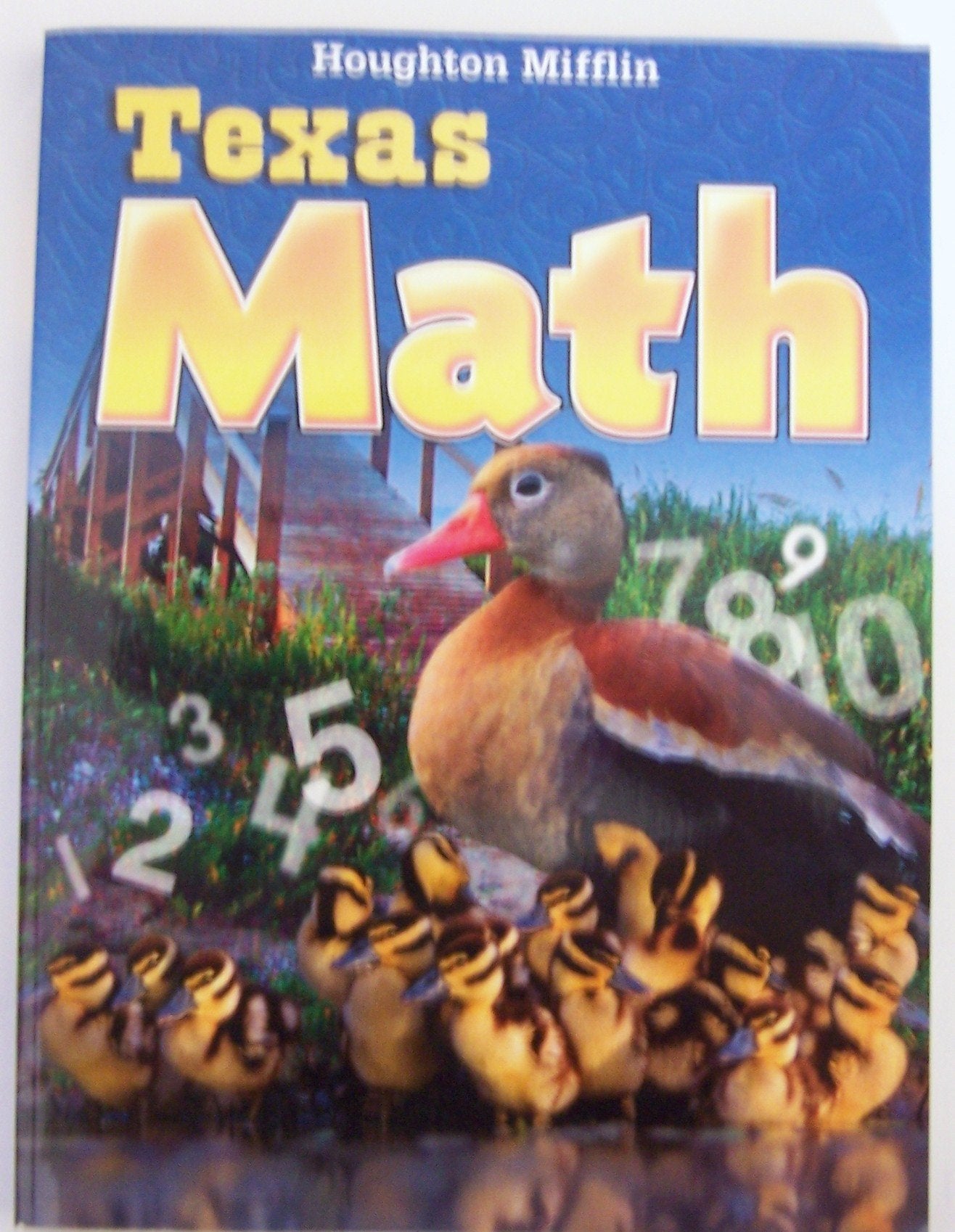 Houghton Mifflin Mathmatics Texas: Student Edition Level K 2009,Used