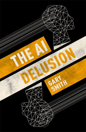 The AI Delusion,Used