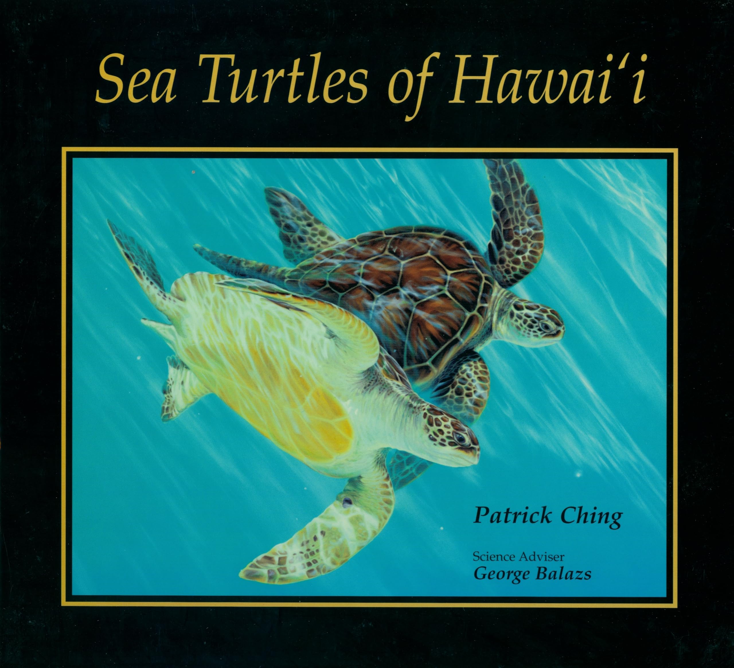 Sea Turtles Of Hawaii,New