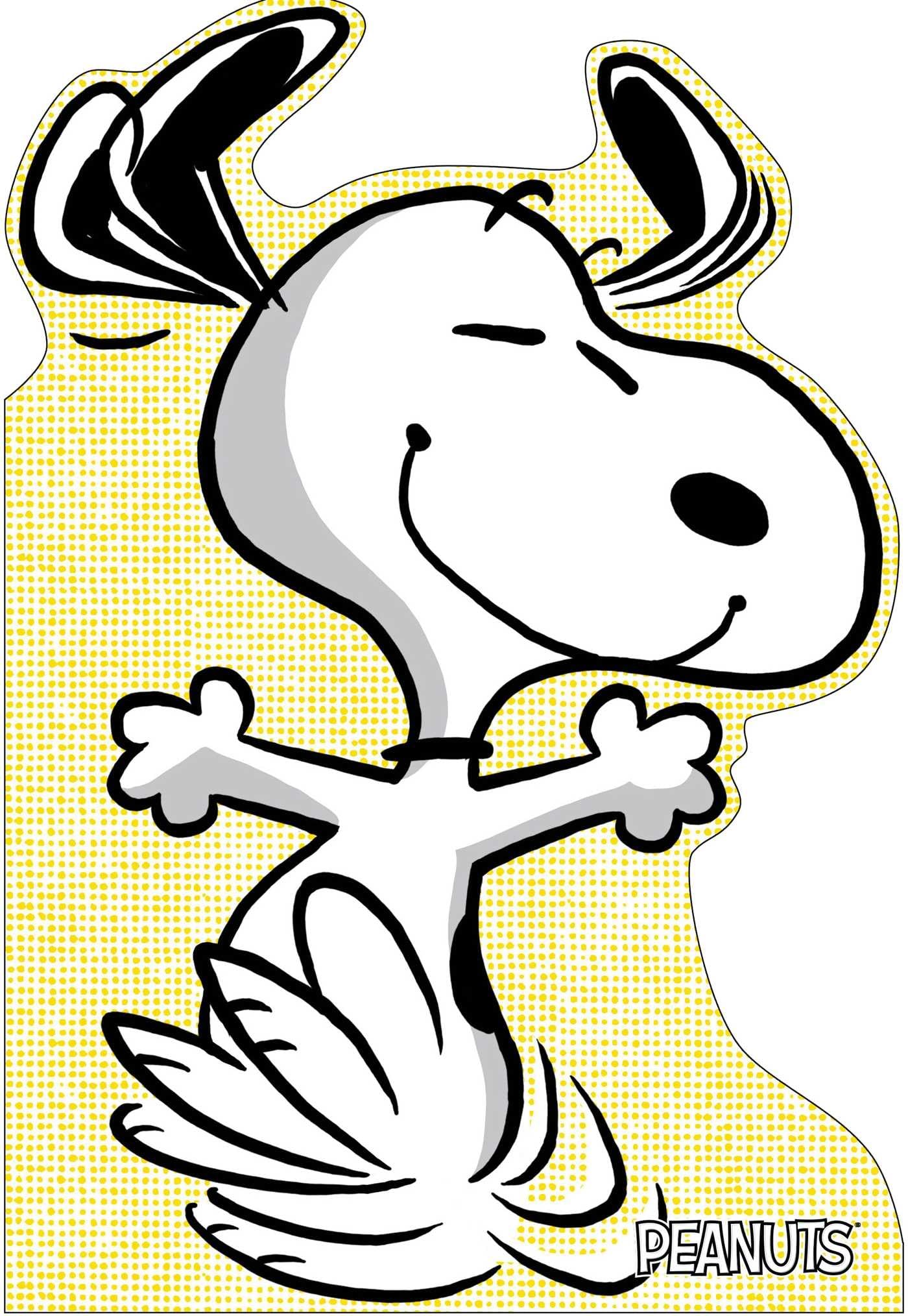 A Best Friend for Snoopy (Peanuts),Used