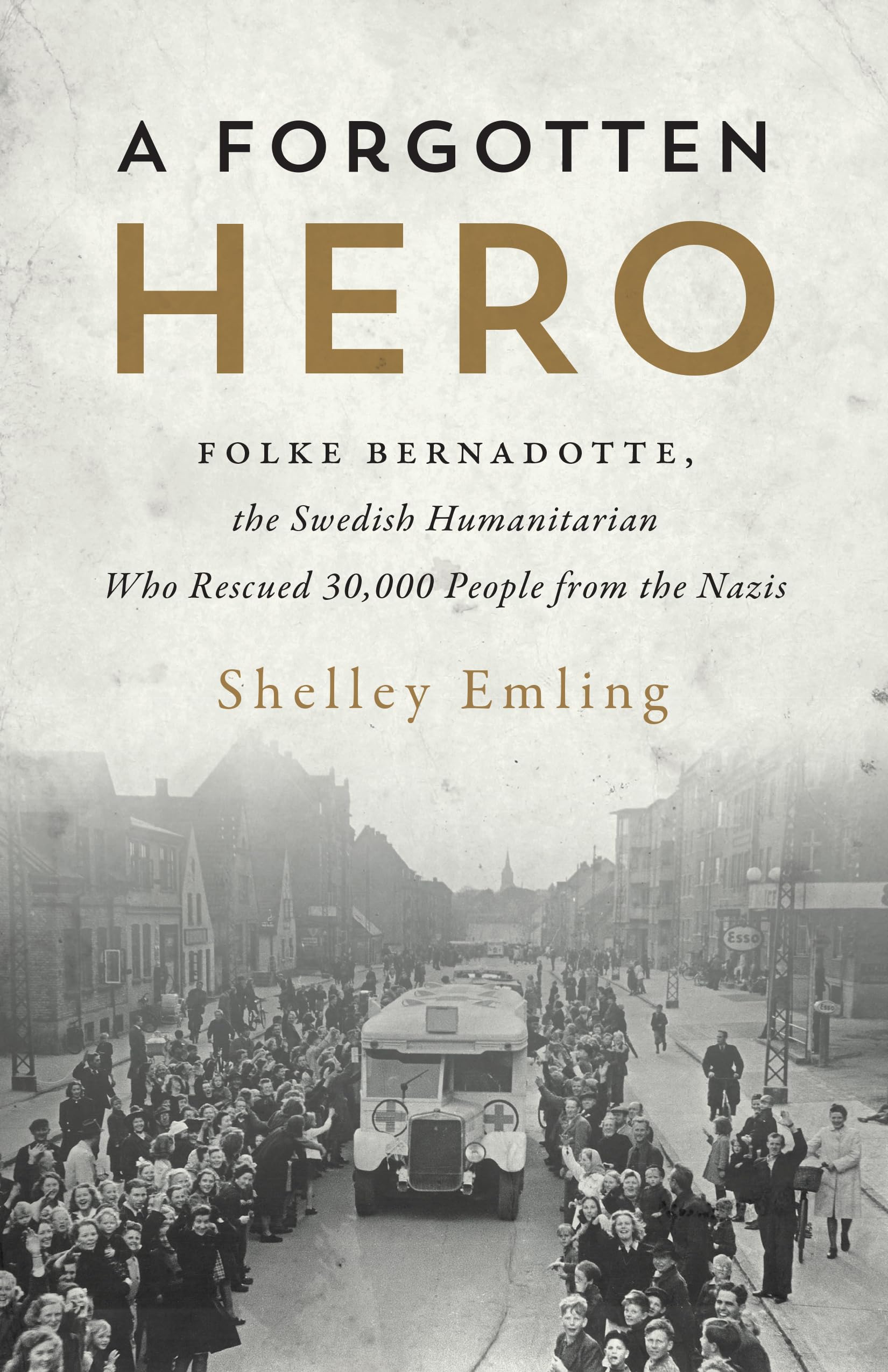 A Forgotten Hero: Folke Bernadotte, The Swedish Humanitarian Who Rescued 30,000 People From The Nazis