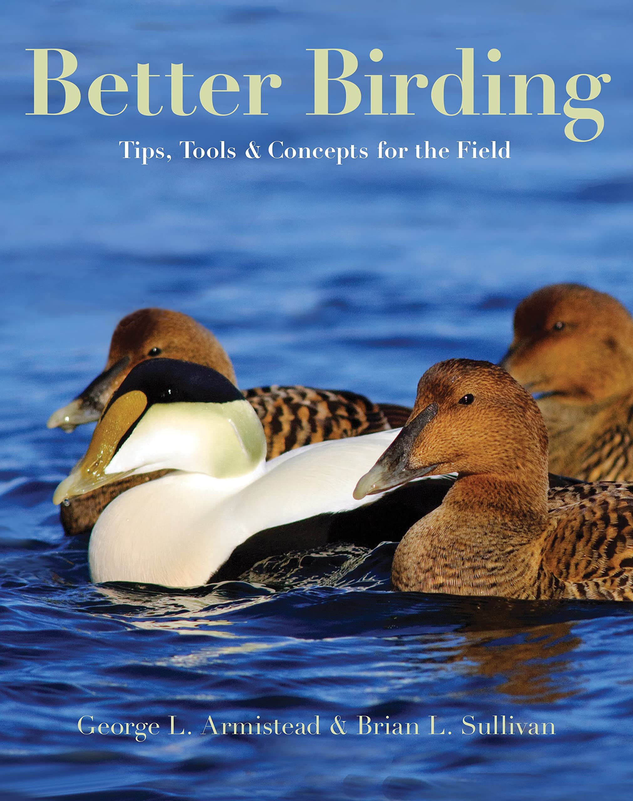Better Birding: Tips, Tools, and Concepts for the Field,Used