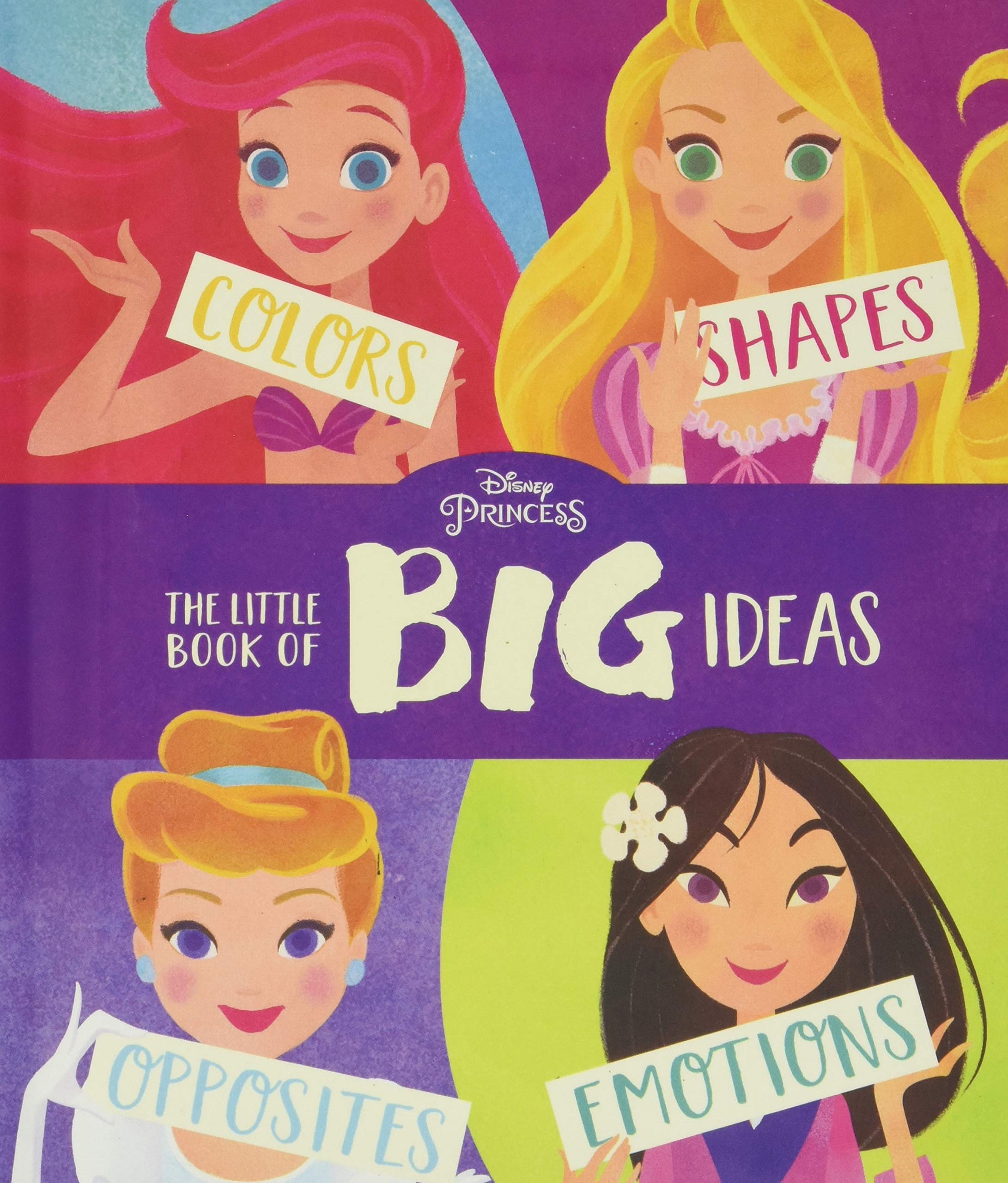 Disney Princess The Little Book of Big Ideas,Used