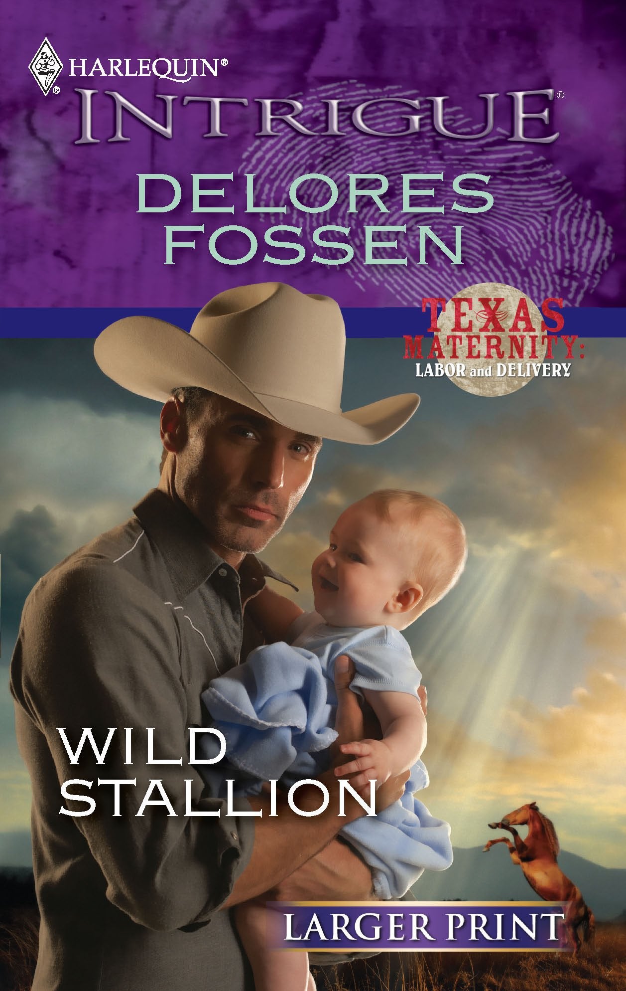 Wild Stallion,Used