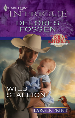 Wild Stallion,Used