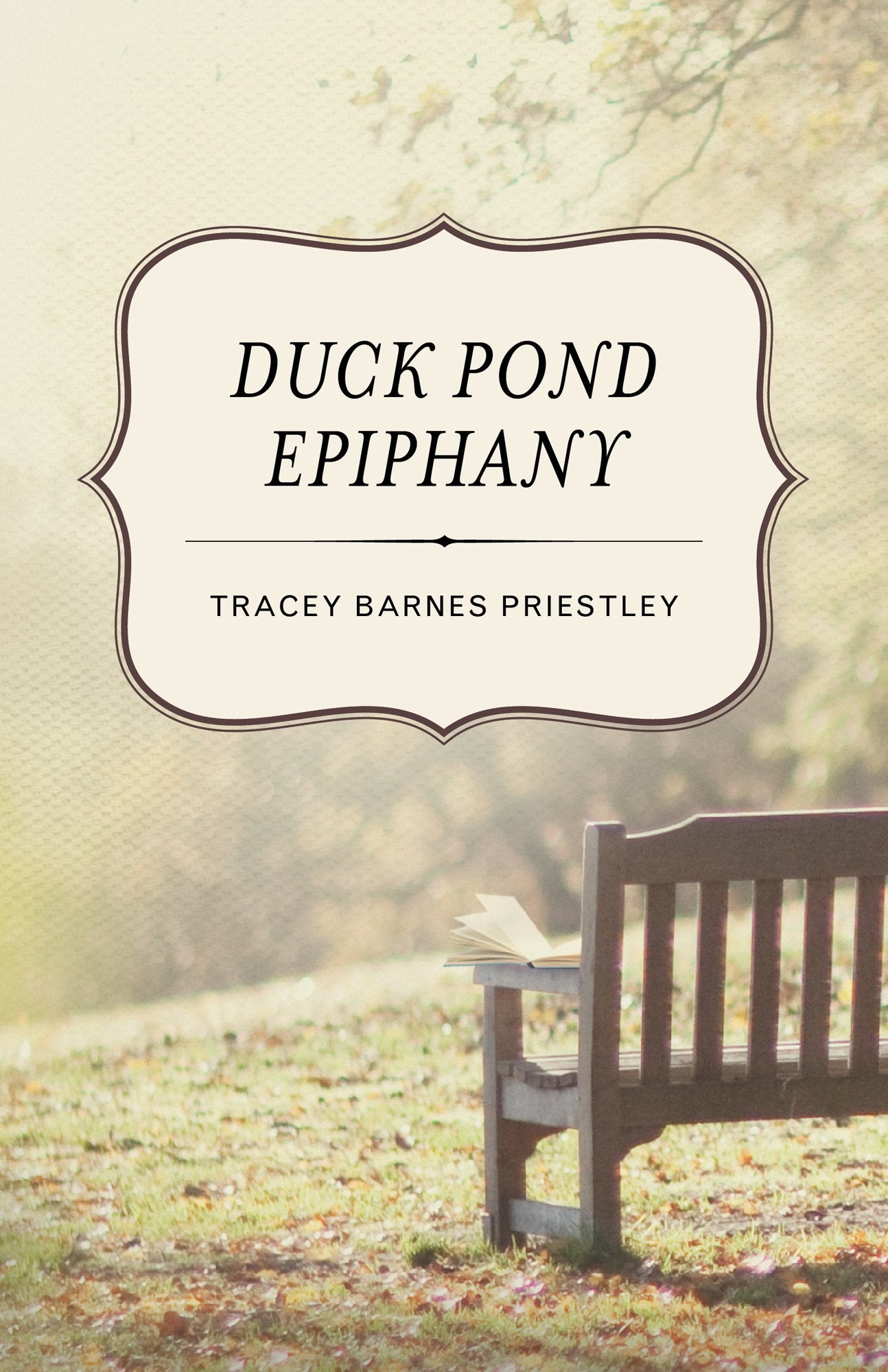 Duck Pond Epiphany: A Novel,Used