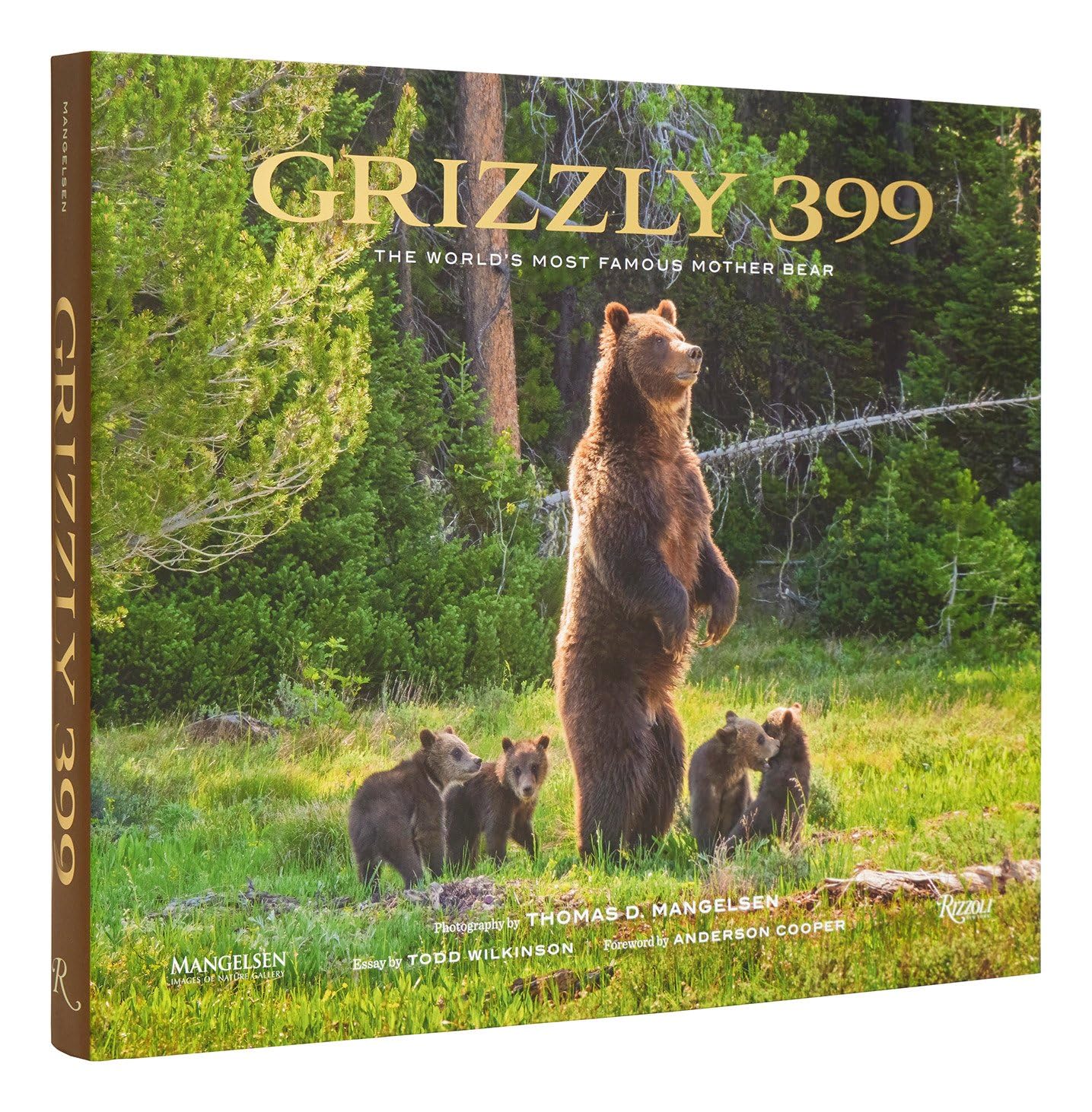 Grizzly 399: The World'S Most Famous Mother Bear