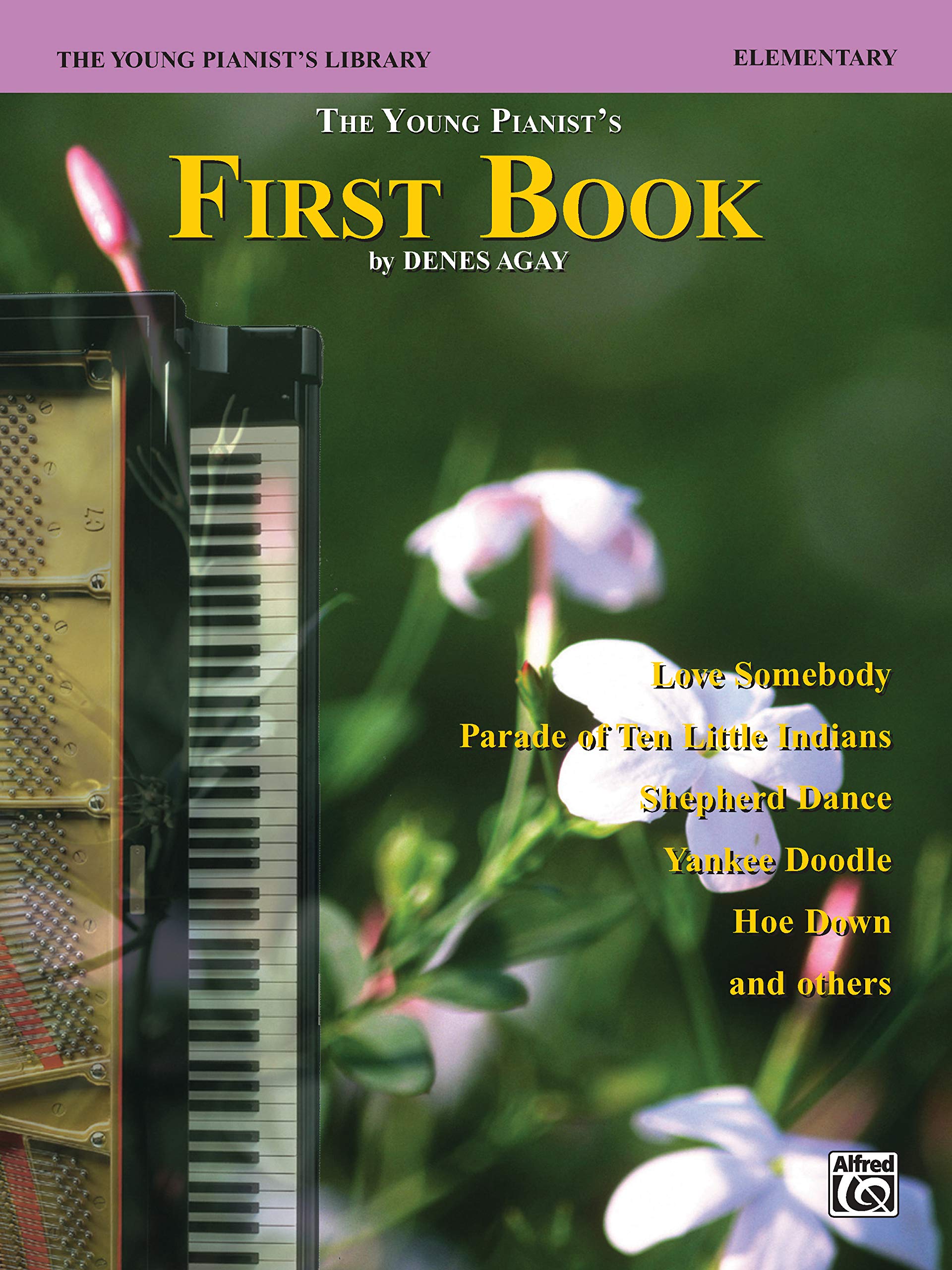 The Young Pianist's Library: The Young Pianist's First Book,Used