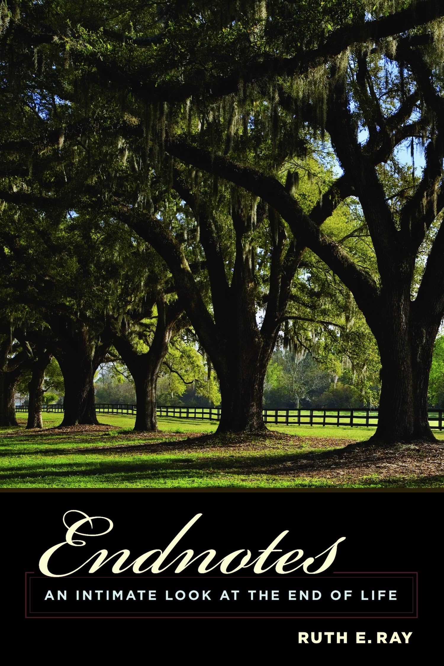 Endnotes: An Intimate Look At The End Of Life (Endoflife Care: A Series),New