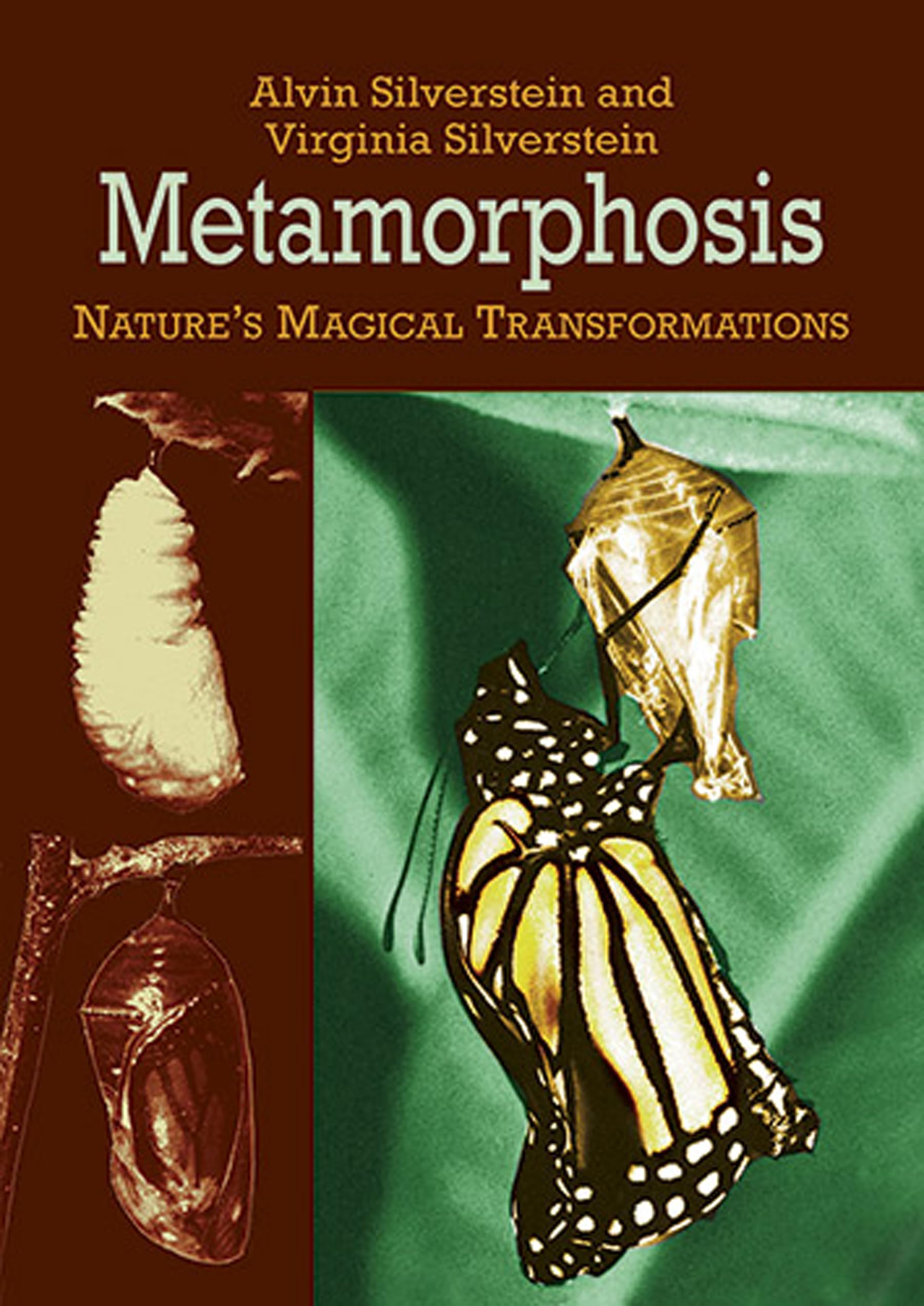 Metamorphosis: Nature's Magical Transformations (Dover Science For Kids),Used