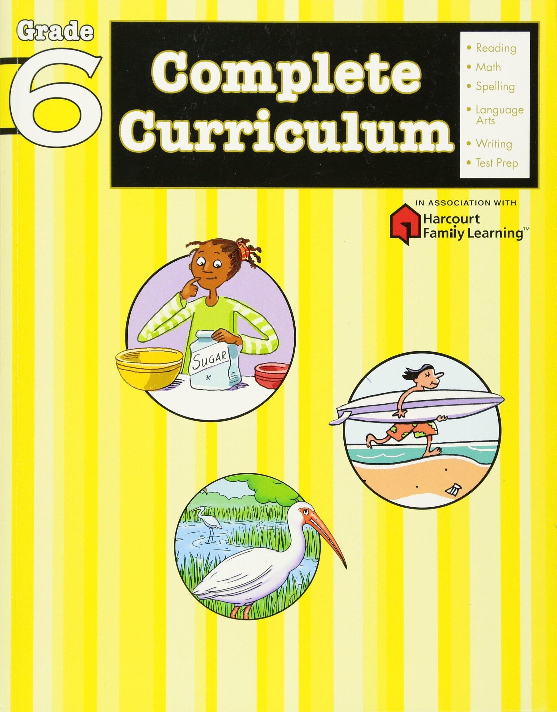 Complete Curriculum Grade 6 (Flash Kids Harcourt Family Learning),Used