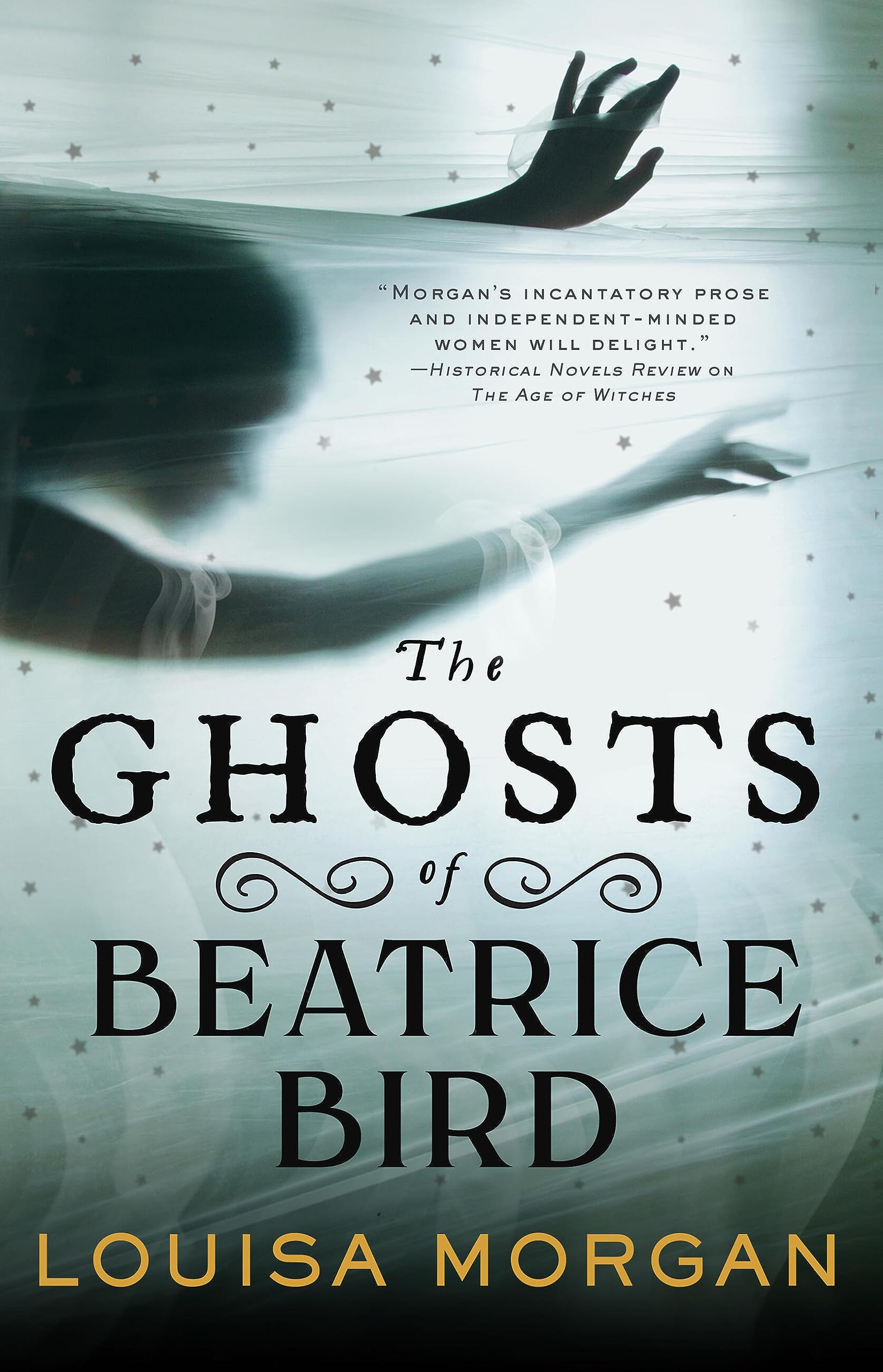 The Ghosts Of Beatrice Bird,Used