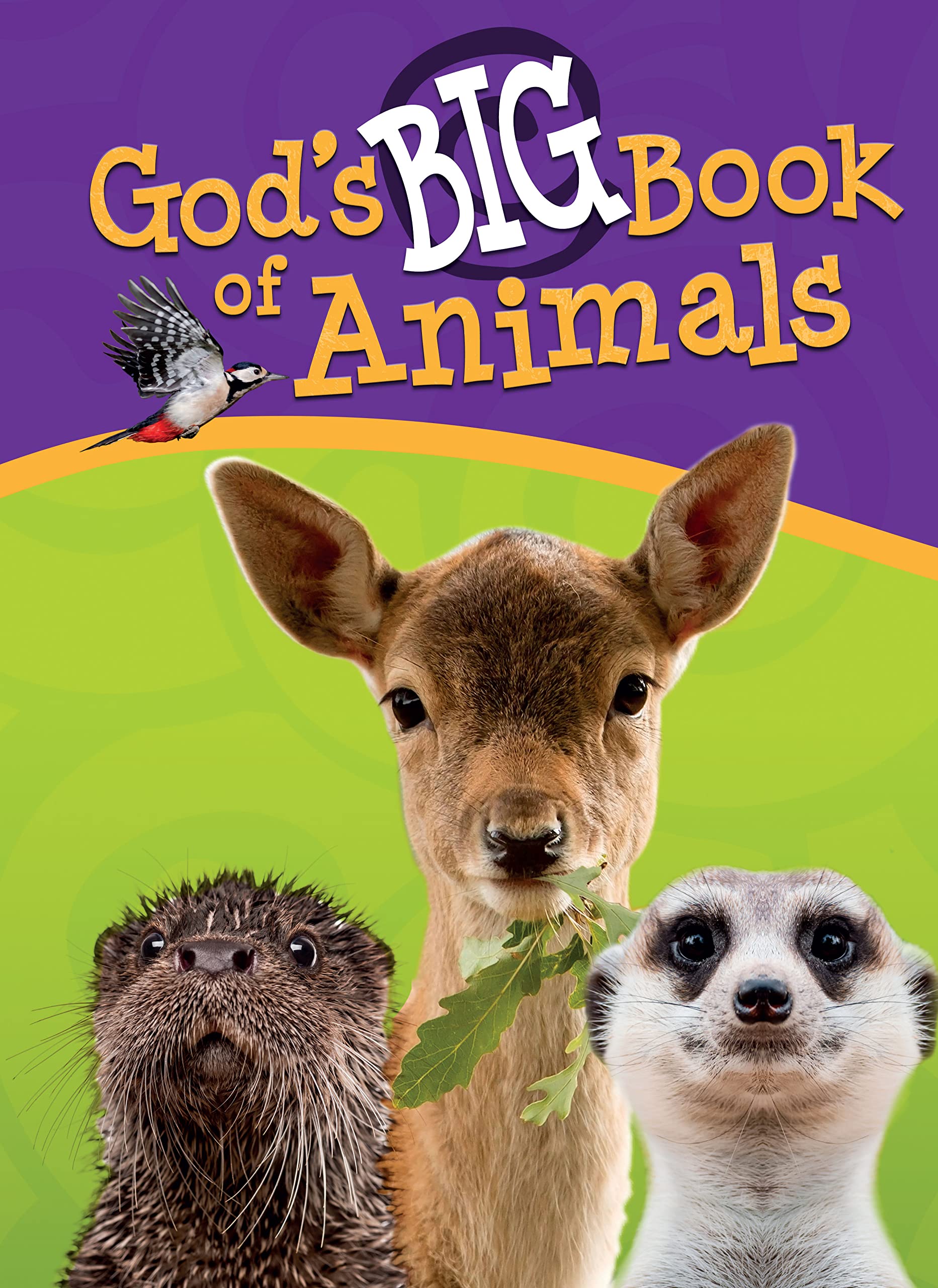 God's Big Book of Animals,Used