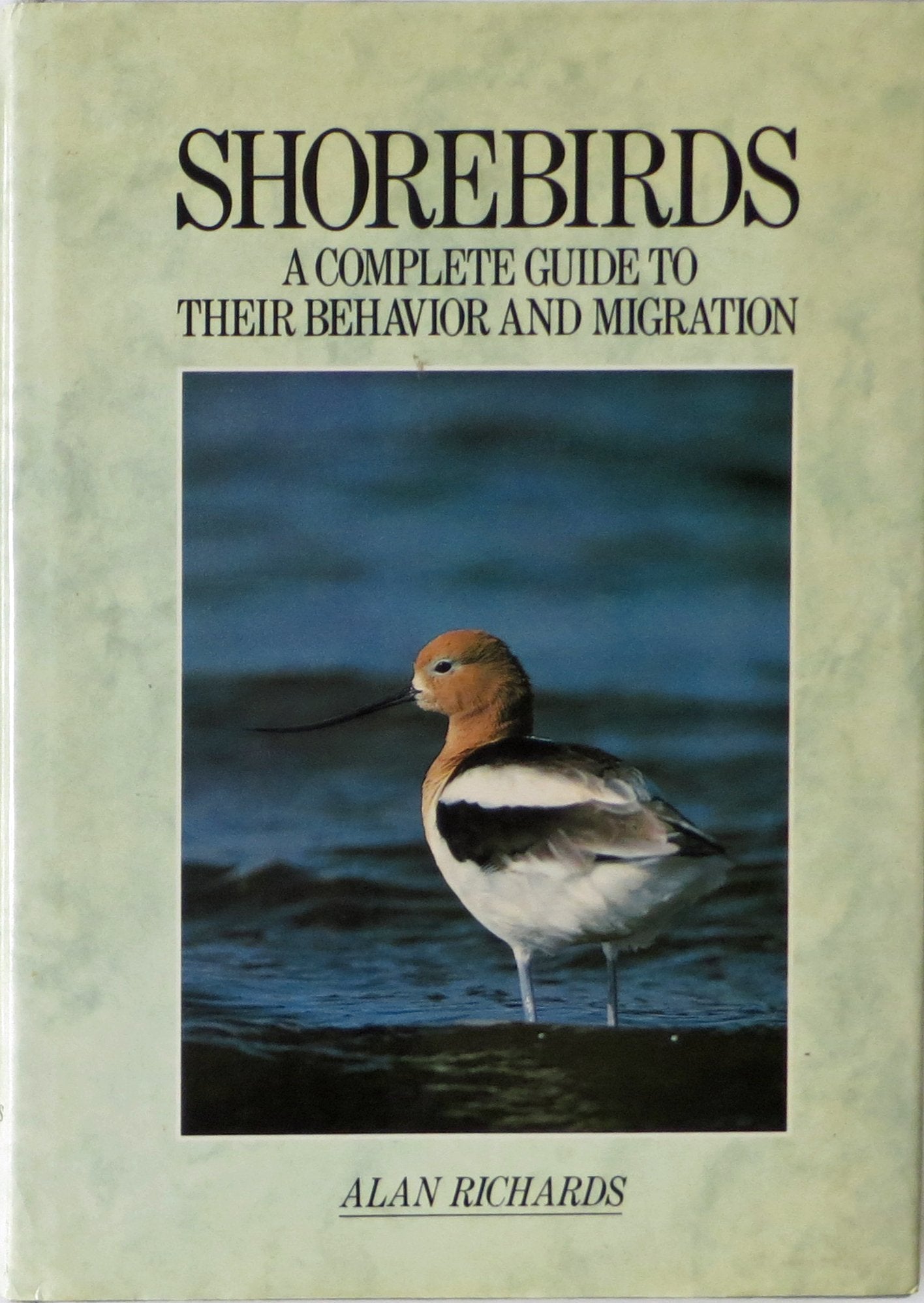 Shorebirds: A Complete Guide to their Behavior and Migration,Used