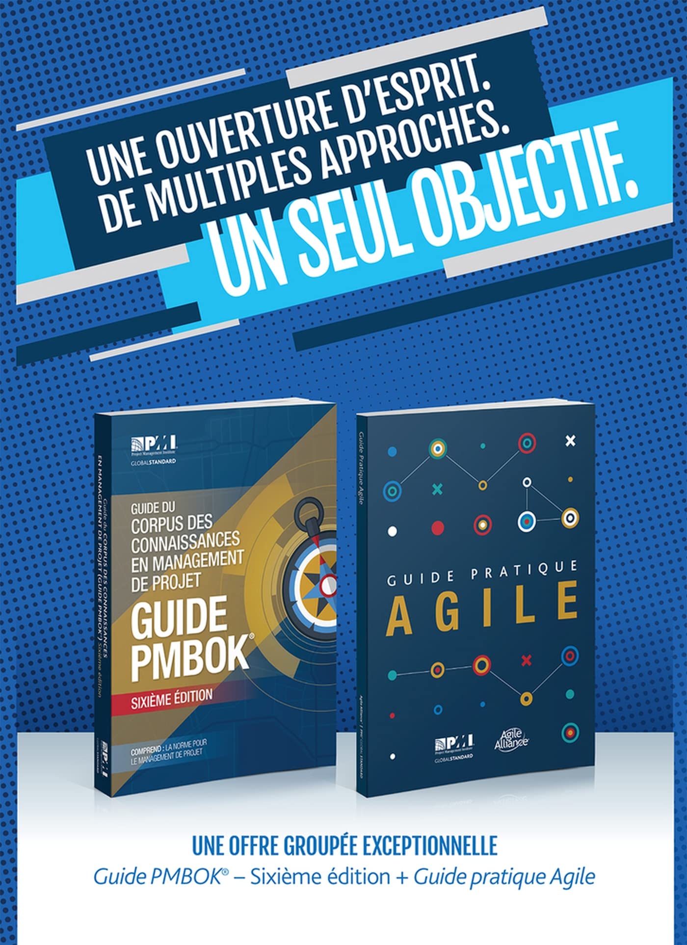 A Guide to the Project Management Body of Knowledge (PMBOK(R) GuideSixth Edition / Agile Practice Guide Bundle (FRENCH) (French,Used