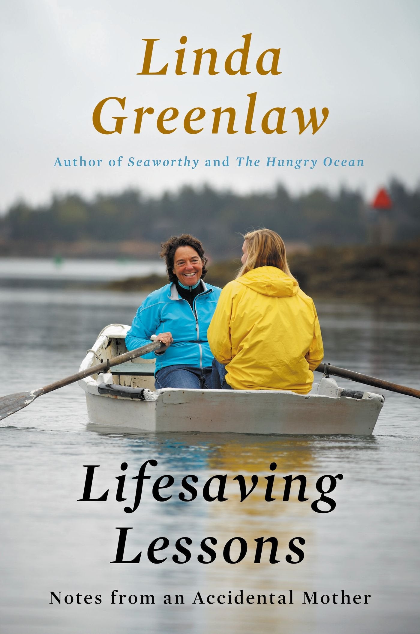 Lifesaving Lessons: Notes from an Accidental Mother,Used