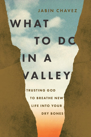 What To Do In A Valley: Trusting God To Breathe New Life Into Your Dry Bones