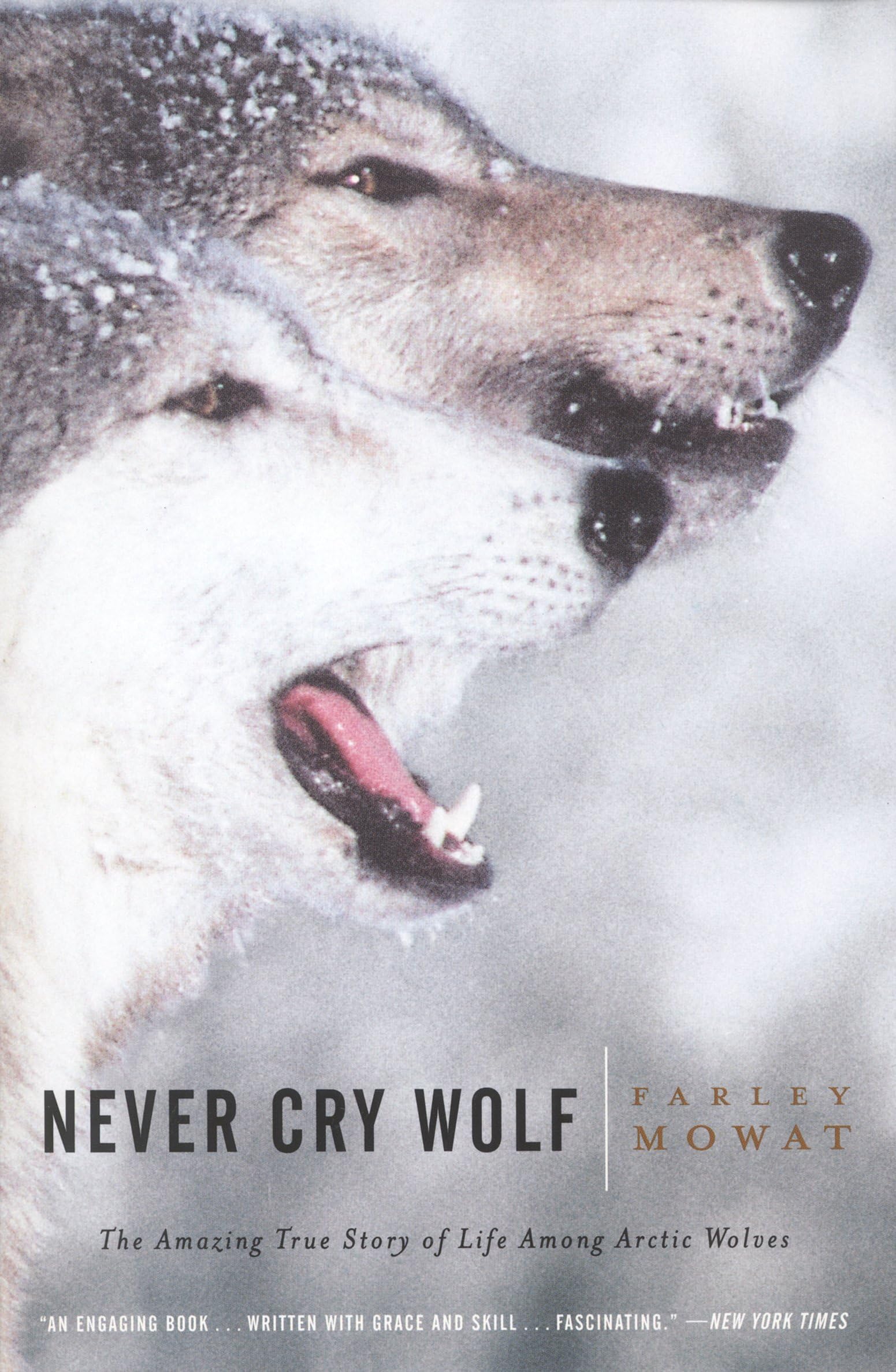 Never Cry Wolf : Amazing True Story Of Life Among Arctic Wolves,New