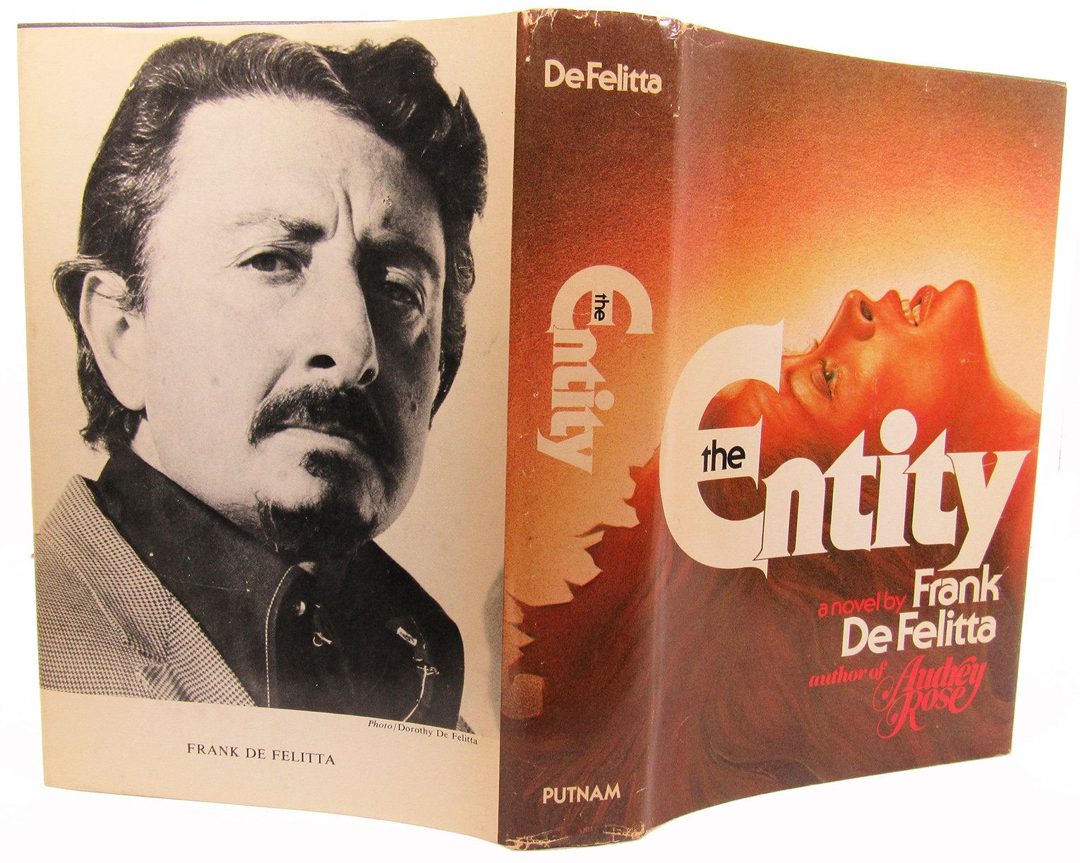 The Entity: A Novel,New