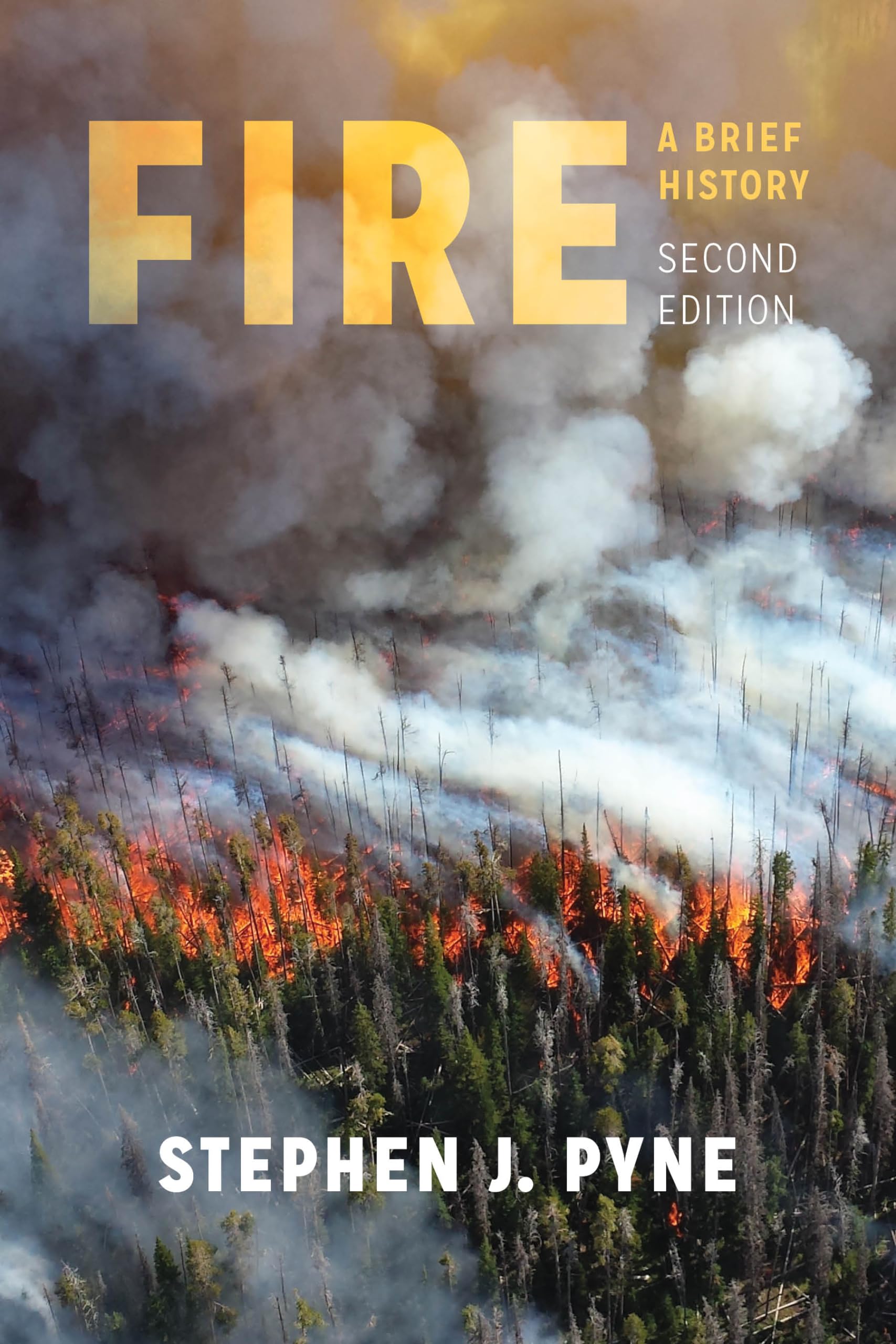 Fire: A Brief History (Weyerhaeuser Environmental Books),Used