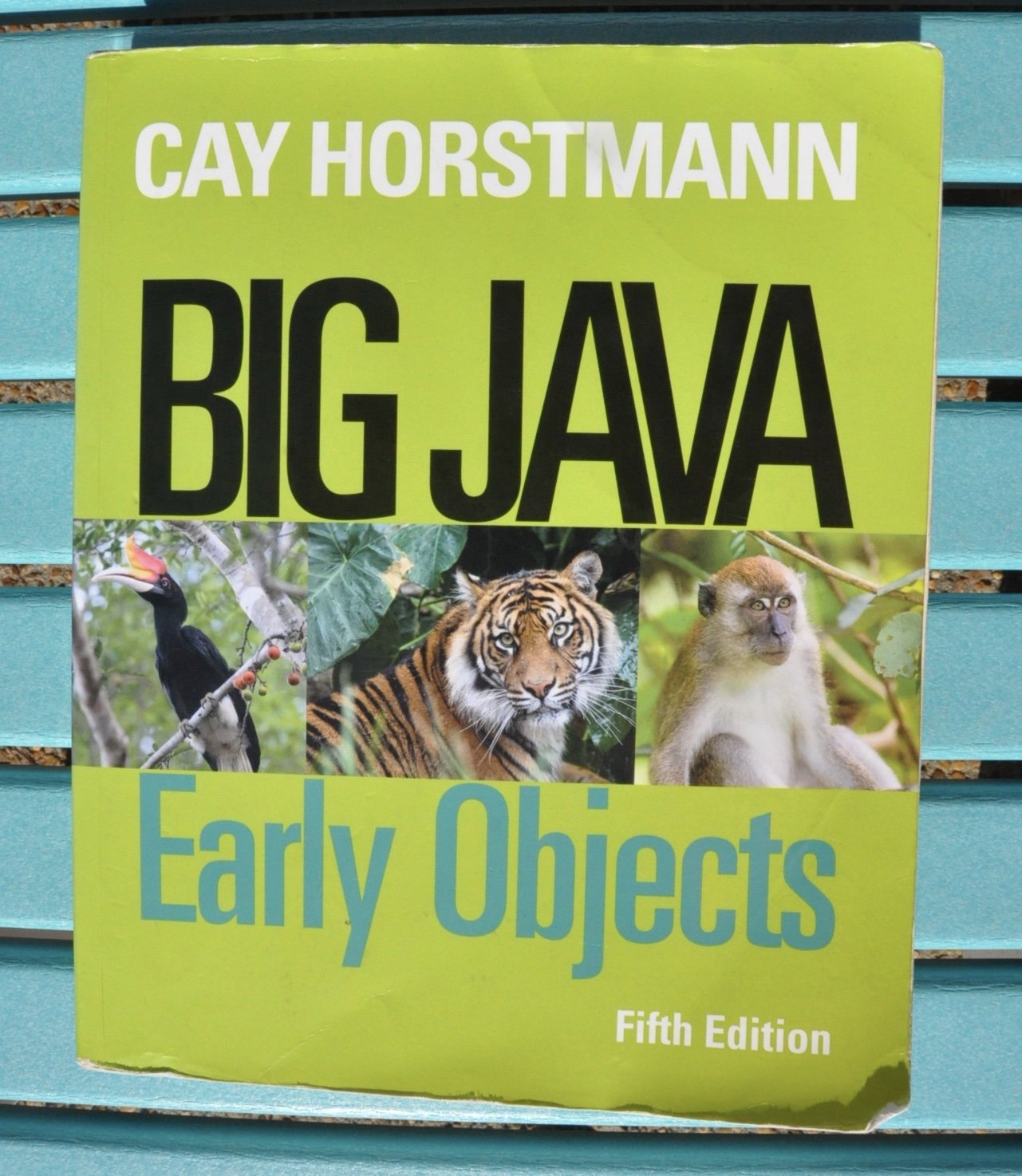 Big Java: Early Objects,Used