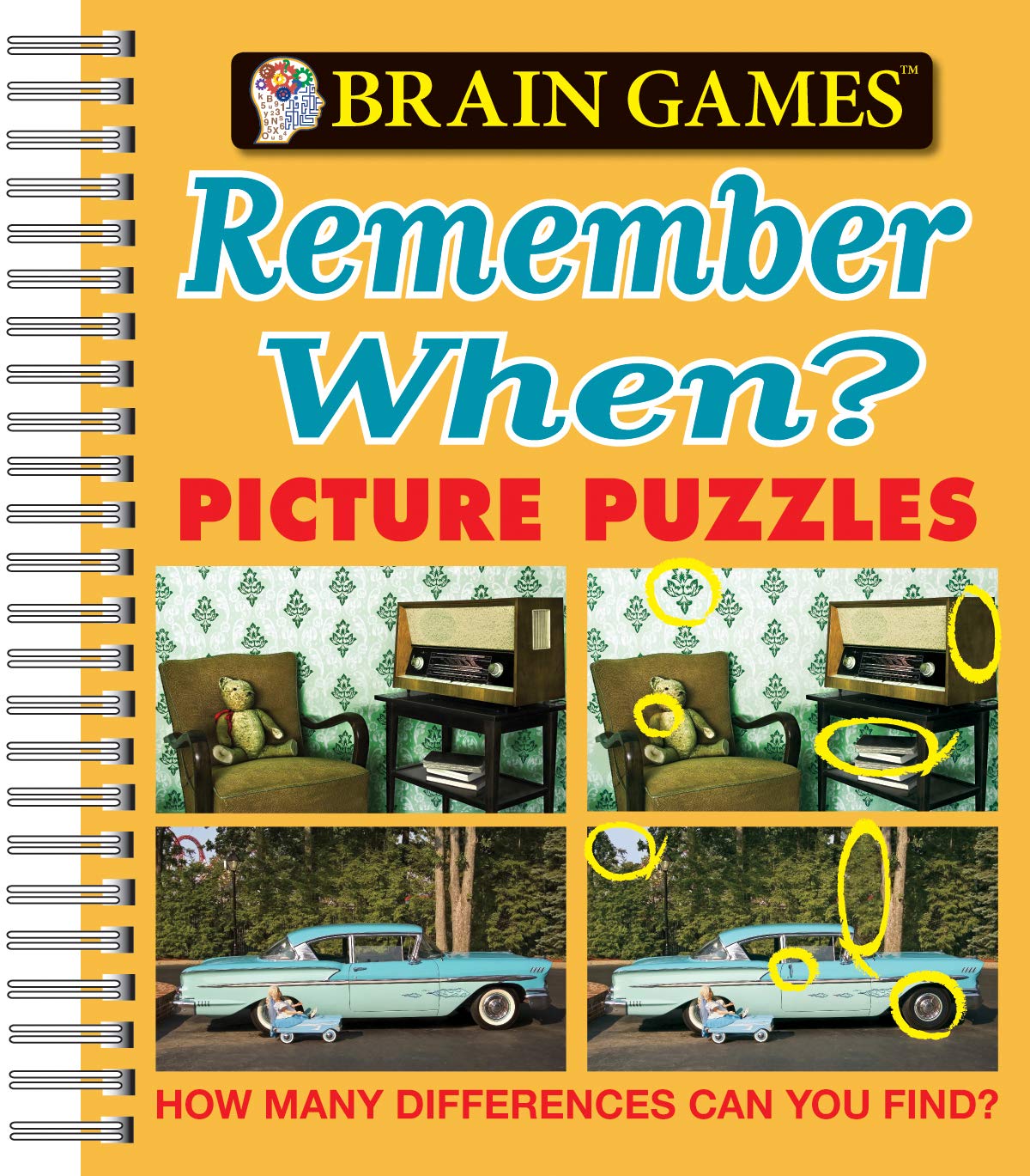 Brain Games  Picture Puzzles: Remember When?  How Many Differences Can You Find?,Used
