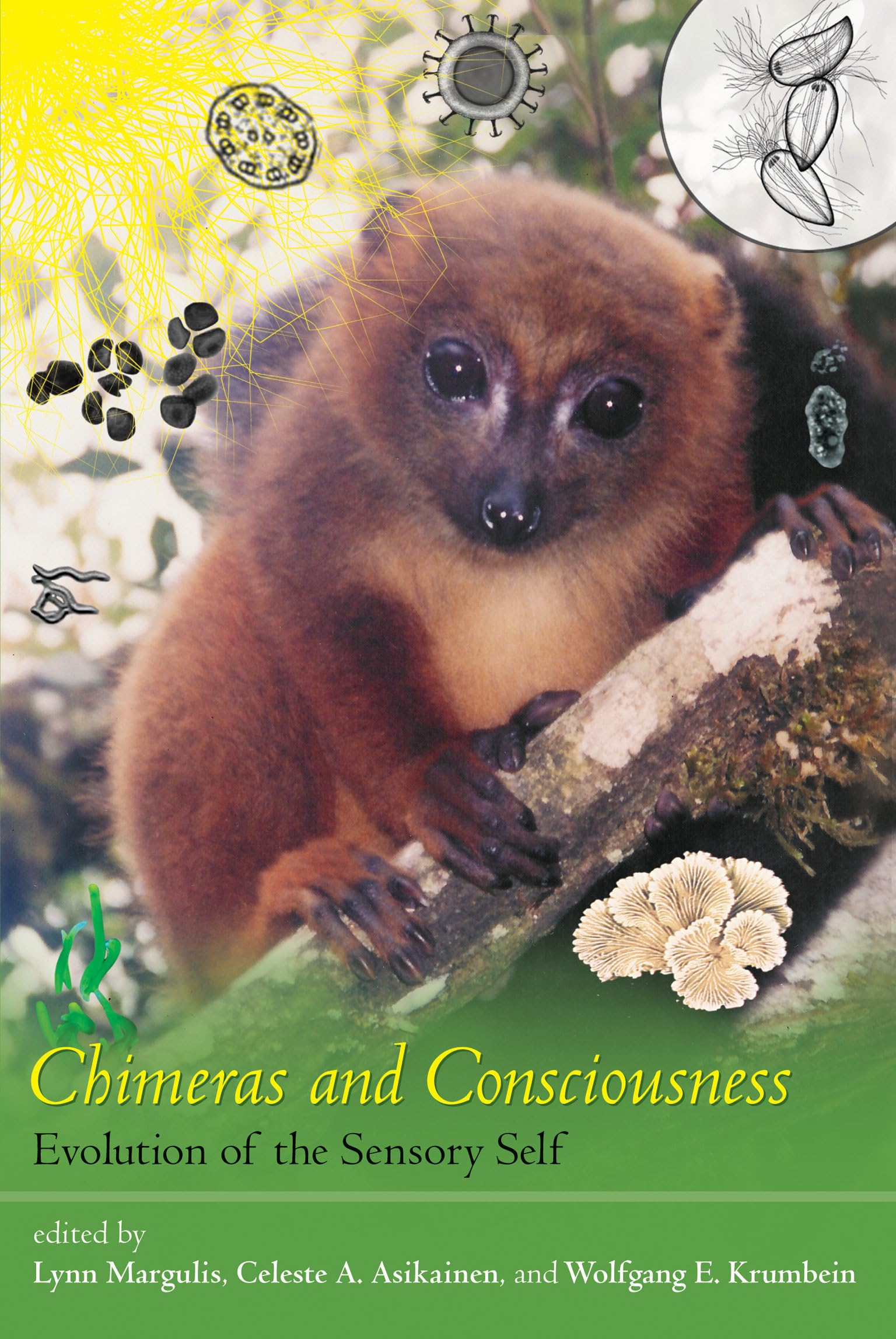 Chimeras and Consciousness: Evolution of the Sensory Self,Used