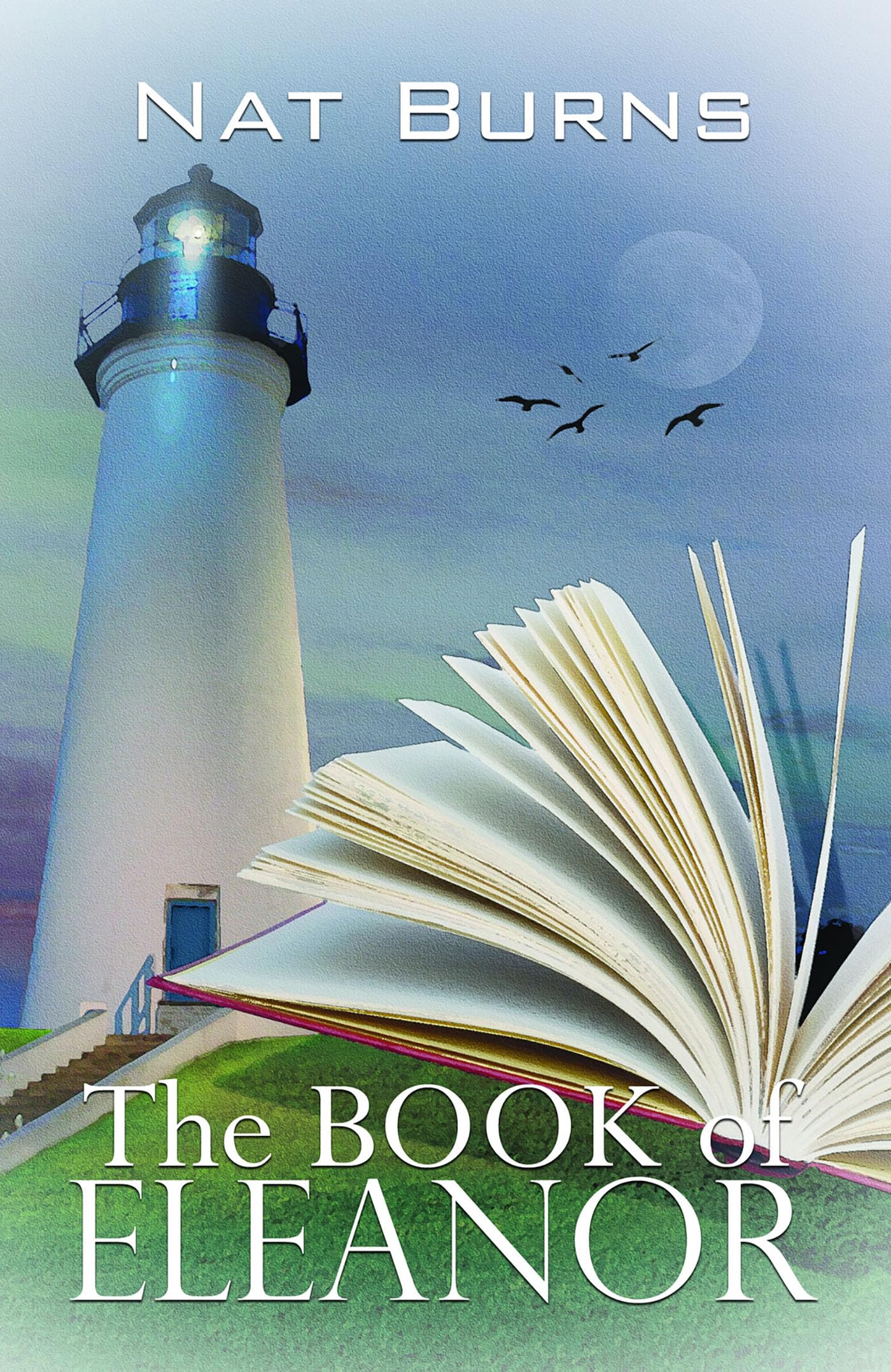 The Book of Eleanor,Used