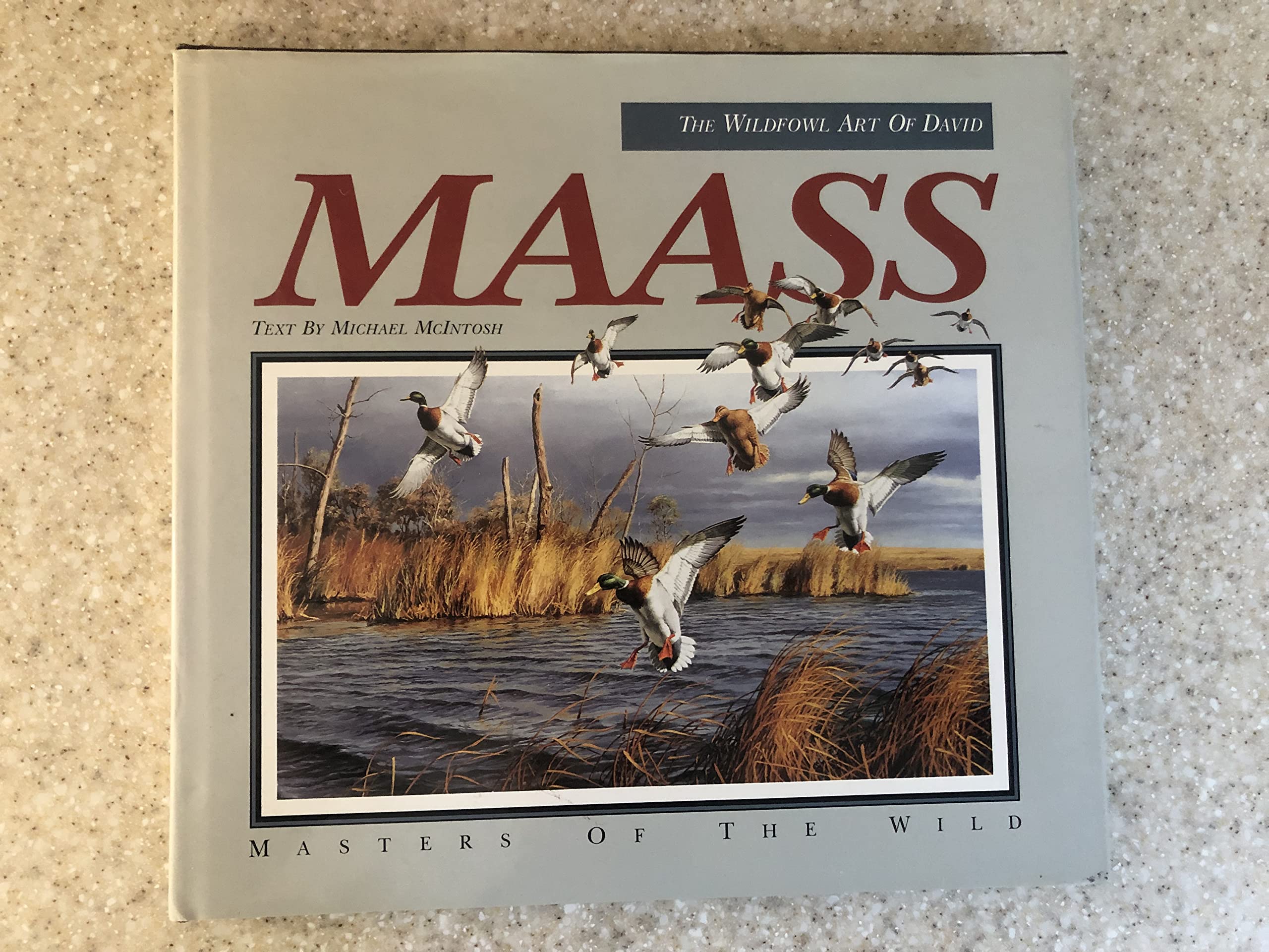 The Wildfowl Art of David Maass: Masters of the Wild,Used