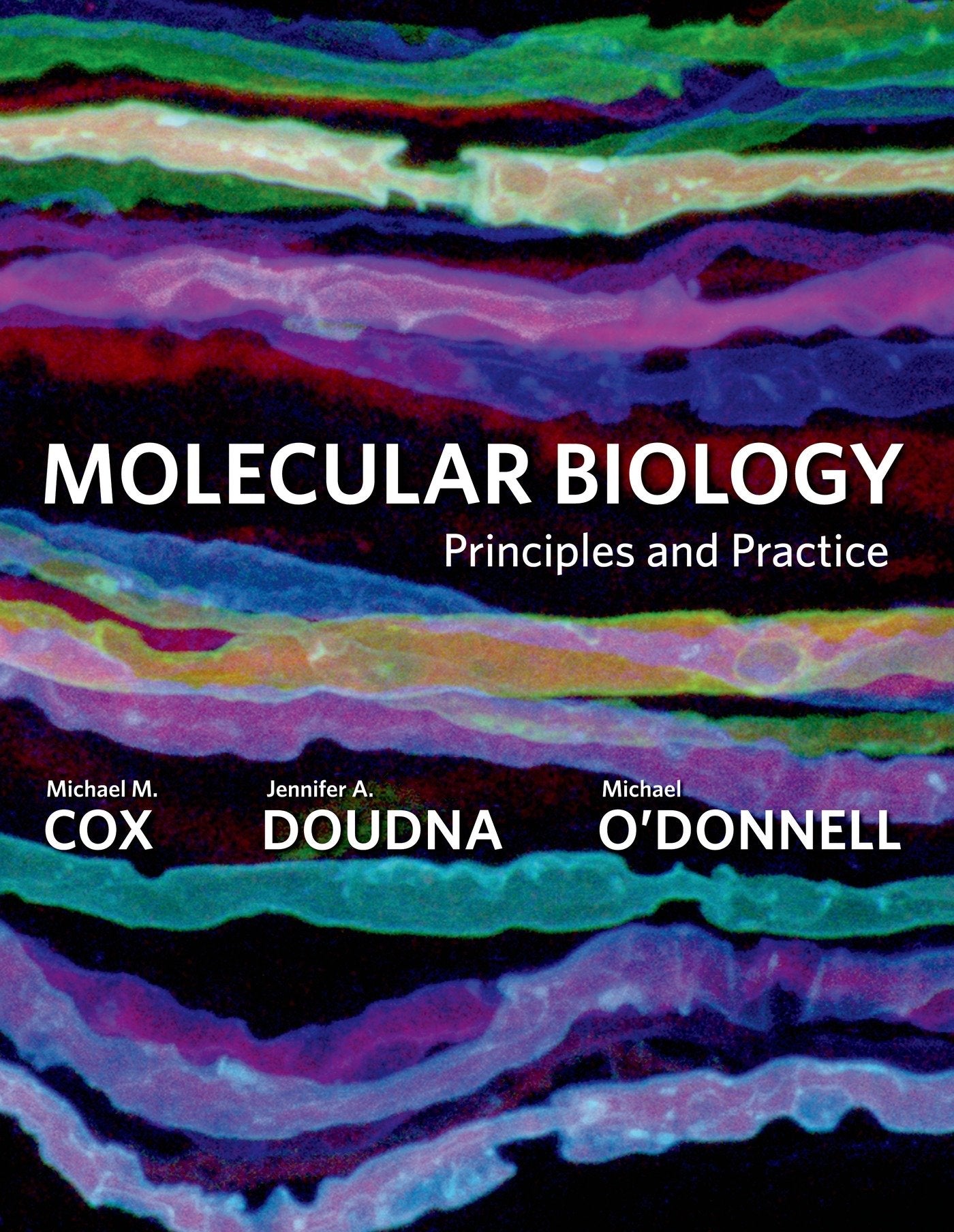 Molecular Biology: Principles and Practice,New