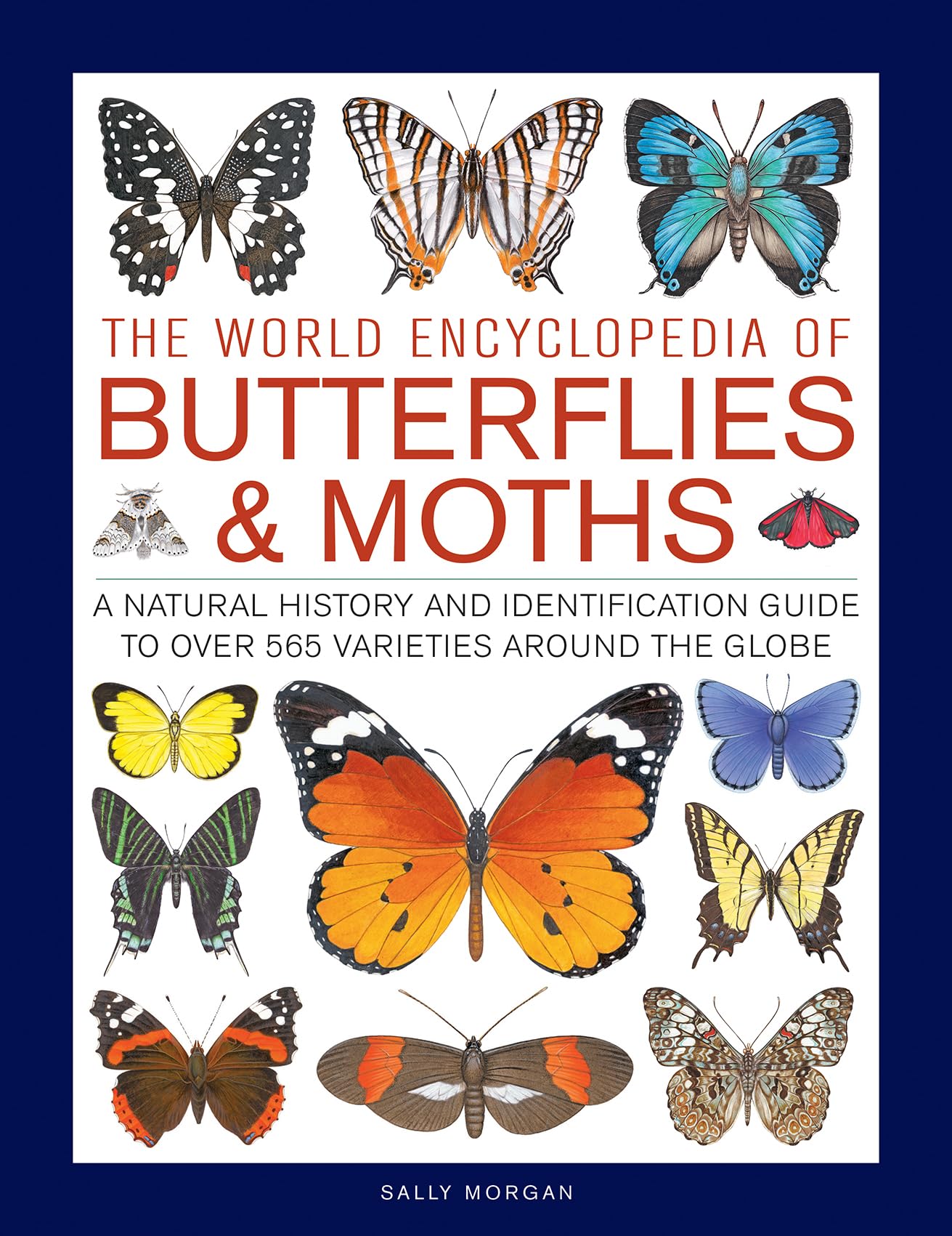 The World Encyclopedia of Butterflies & Moths: A Natural History And Identification Guide To Over 565 Varieties Around The Globe,Used
