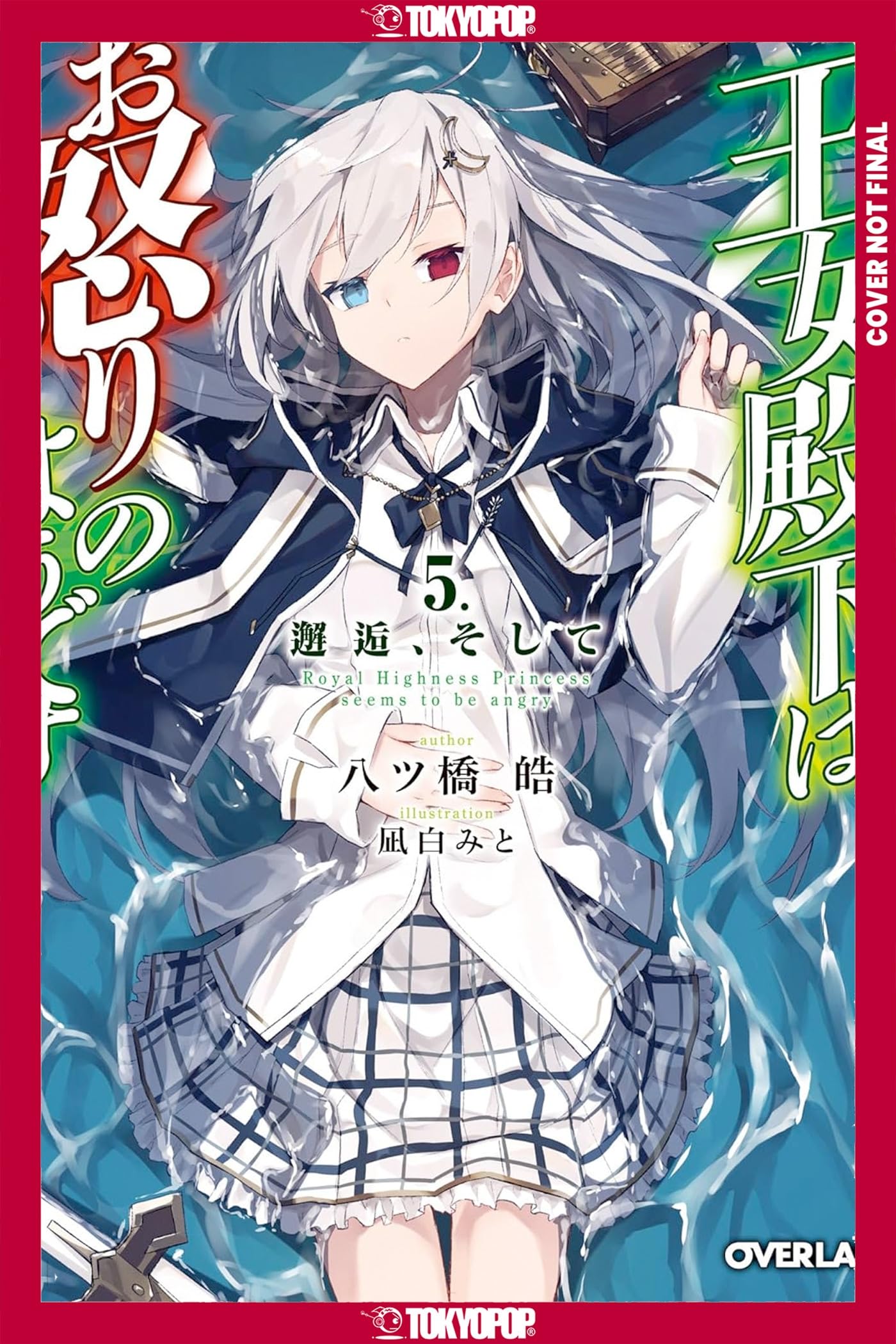 Her Royal Highness Seems To Be Angry, Volume 5 (Light Novel)