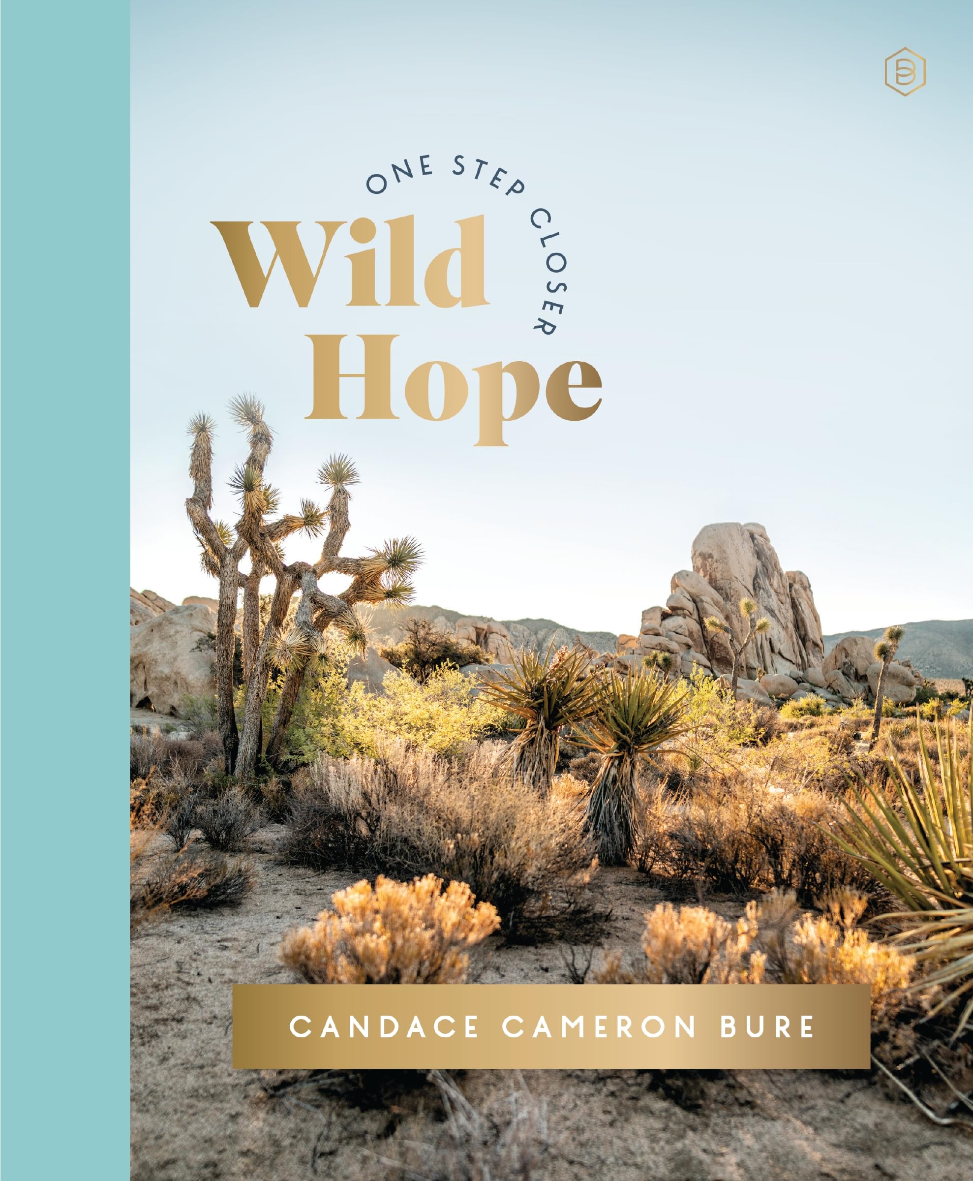 Wild Hope: A 30Day Devotional To Overcome LifeS Challenges  Interactive Devotions With Bible Verses, Guided Questions, And Cre