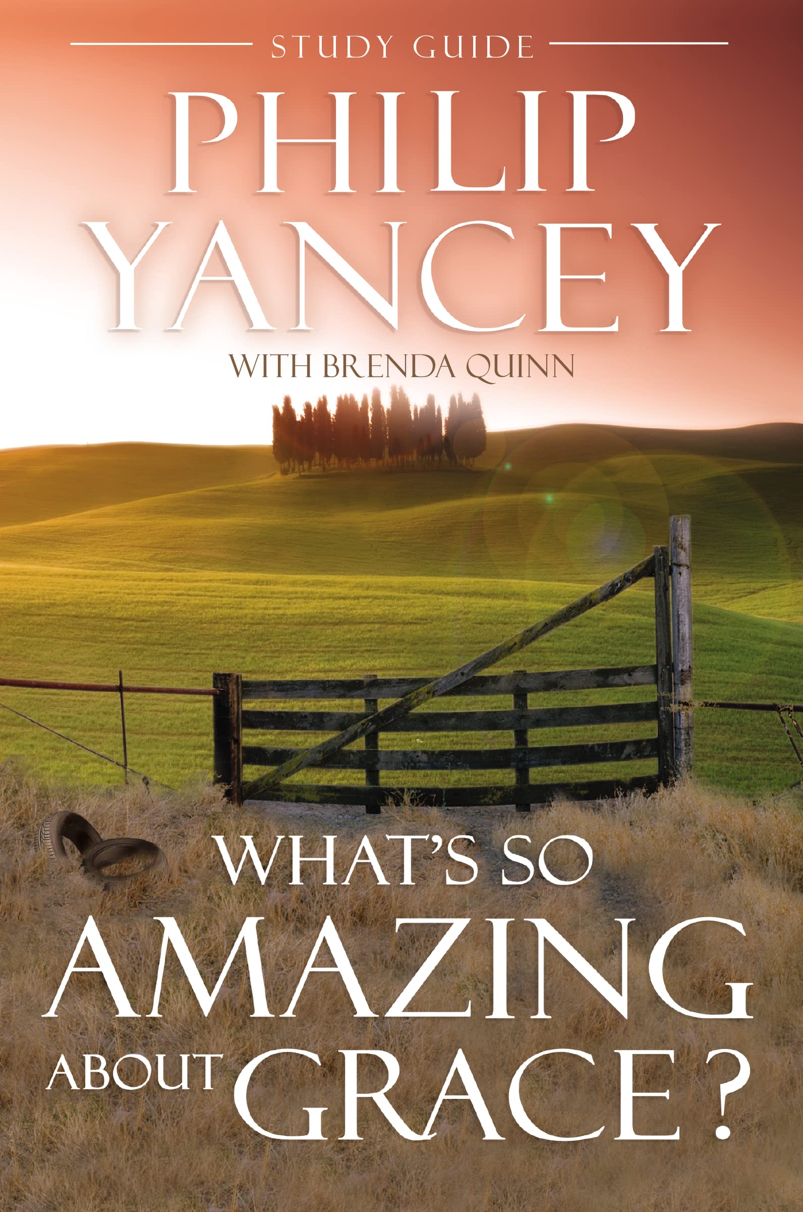 What'S So Amazing About Grace? Study Guide-used