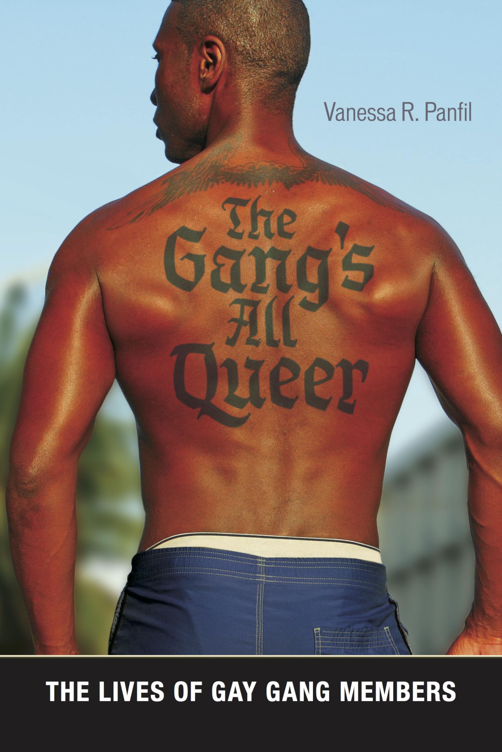 The Gang's All Queer: The Lives of Gay Gang Members (Alternative Criminology, 9),Used